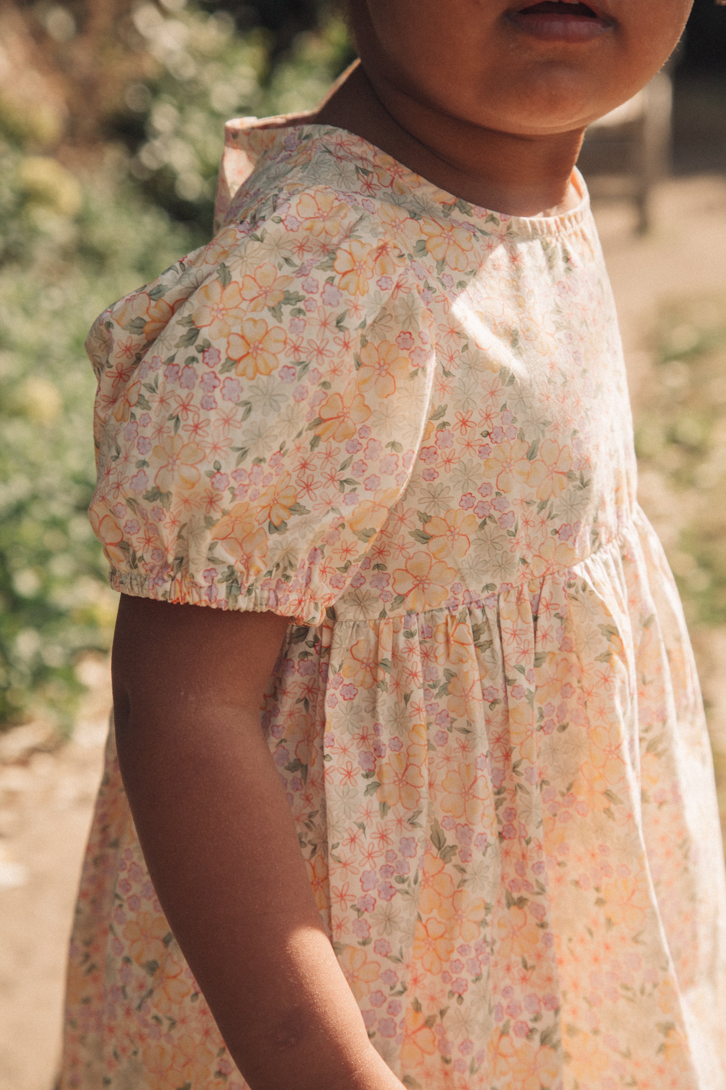 Spring Meadow Puff Short Sleeve Dress
