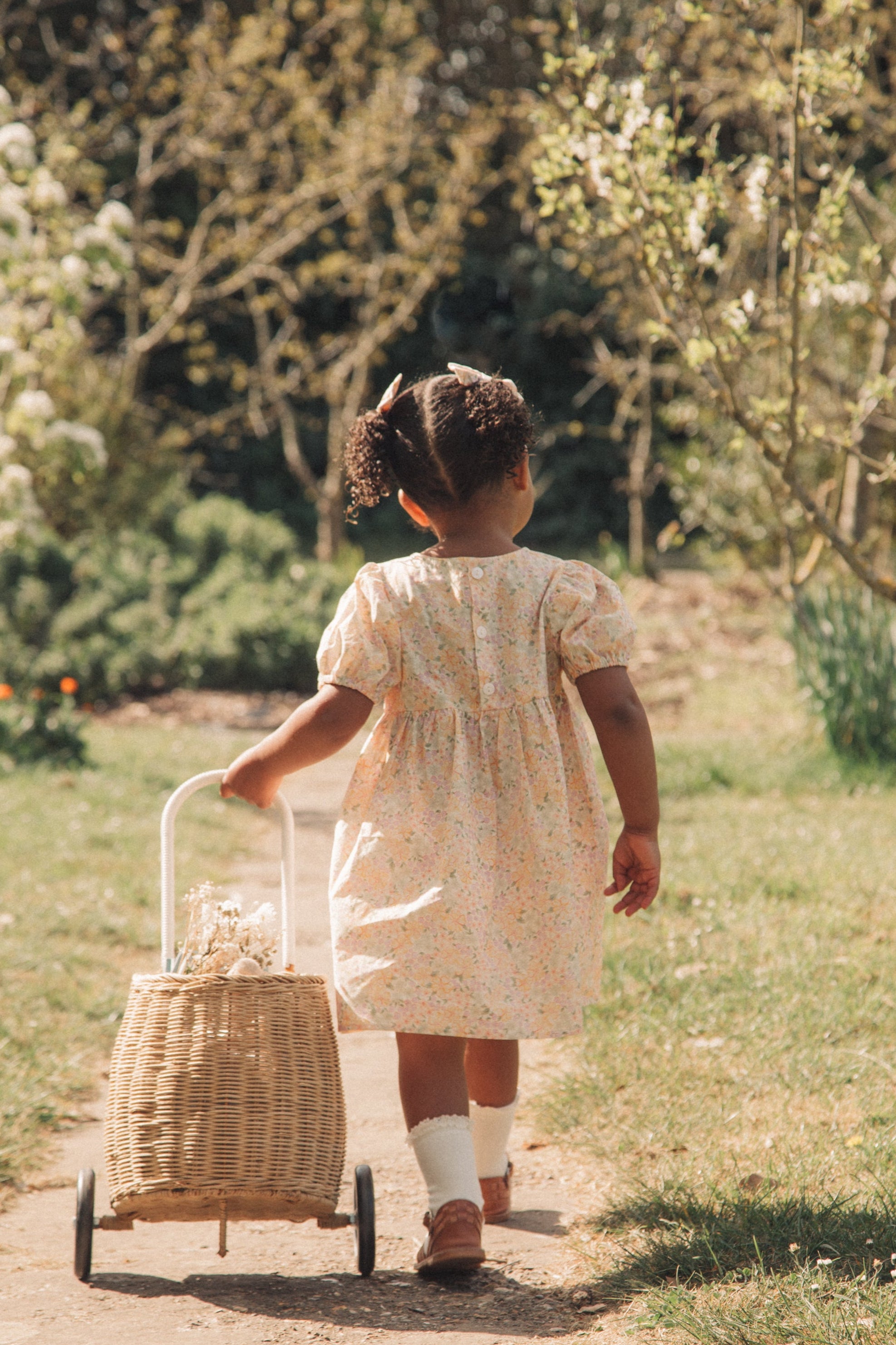 Spring Meadow Puff Short Sleeve Dress