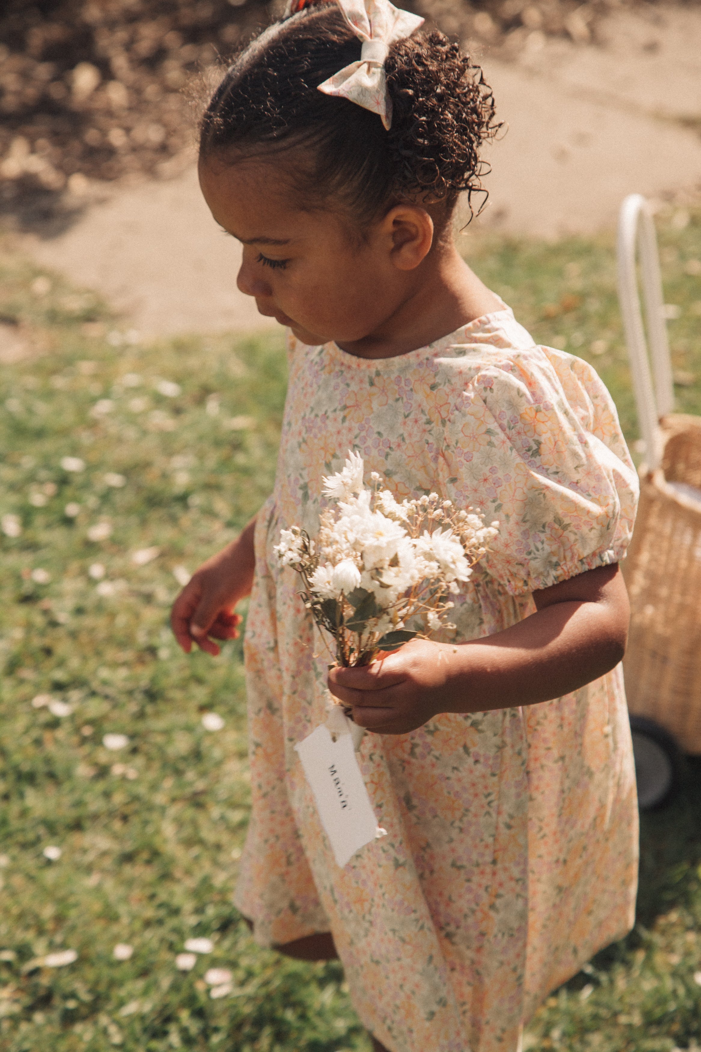 Spring Meadow Puff Short Sleeve Dress
