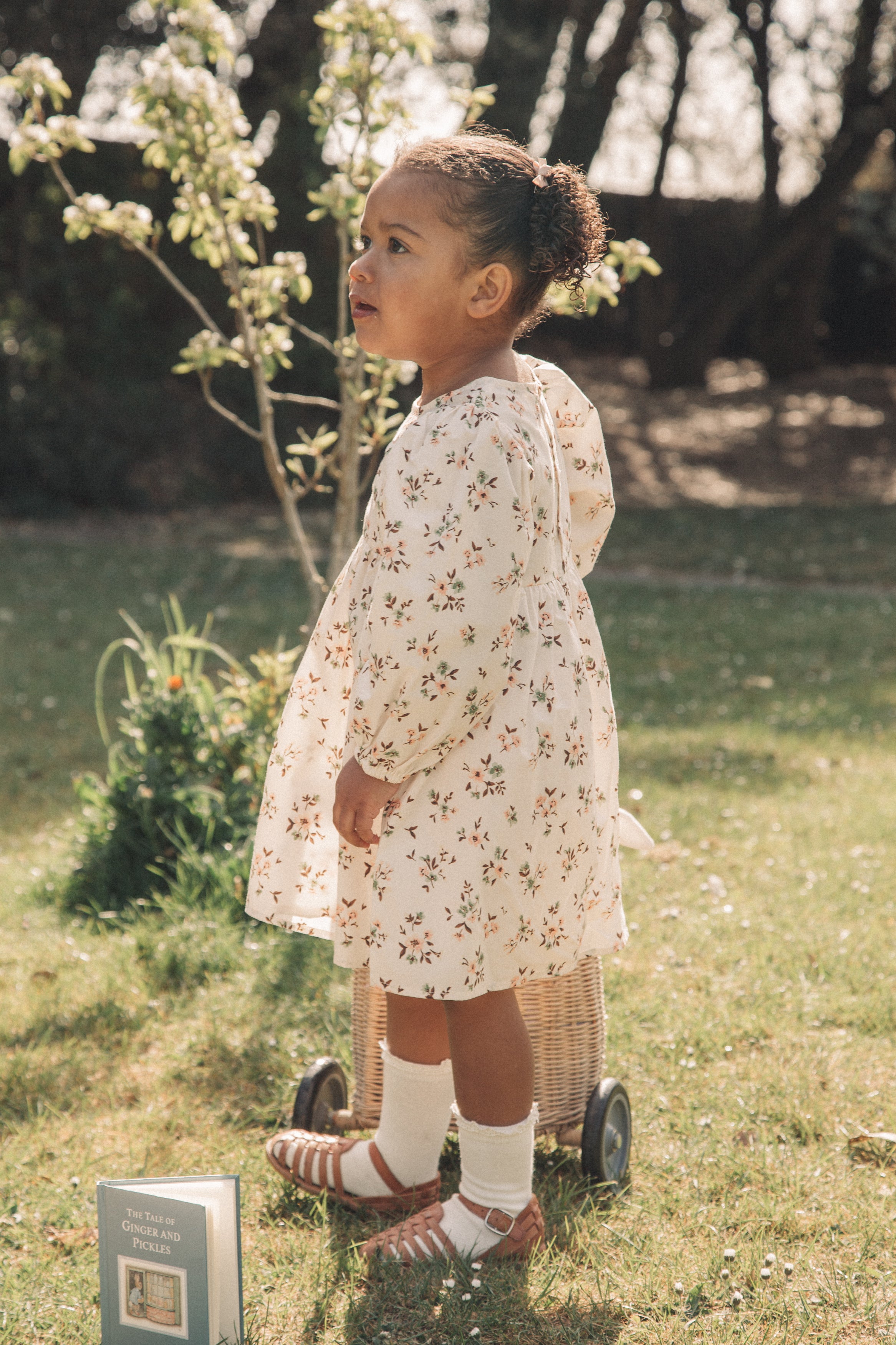 Mocha/Floral Puff Sleeve Dress