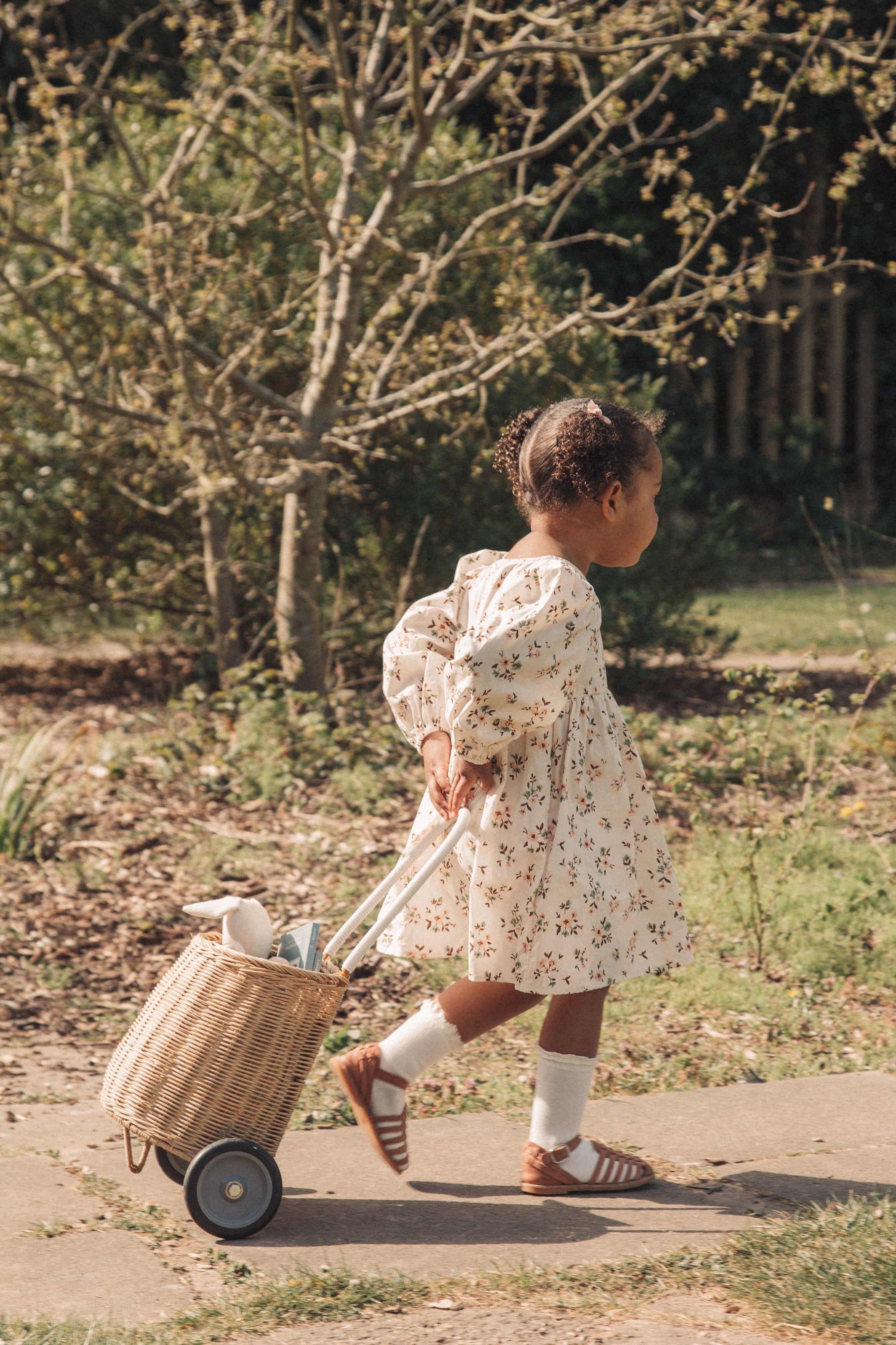 Mocha/Floral Puff Sleeve Dress