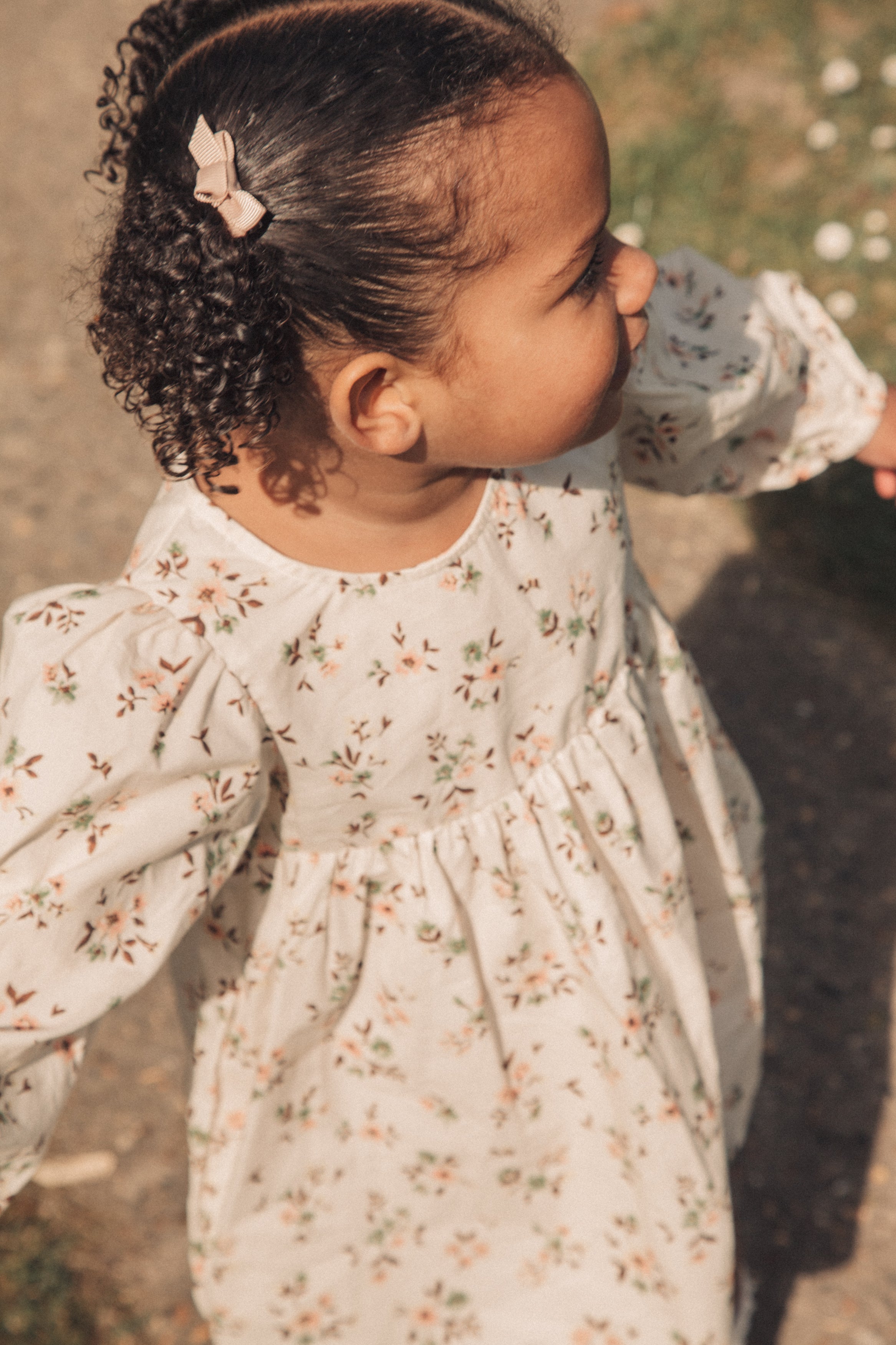 Mocha/Floral Puff Sleeve Dress