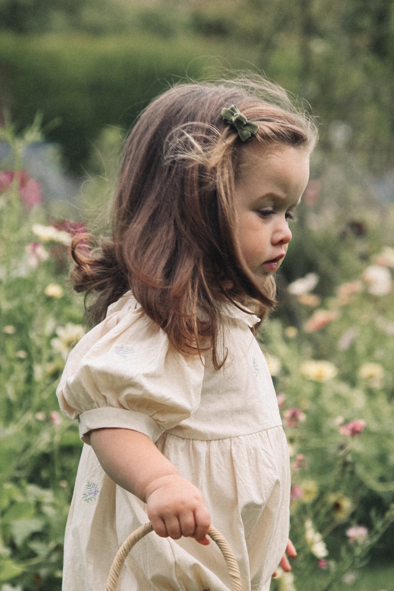 Sage Green Velvet Mini Bow Clips