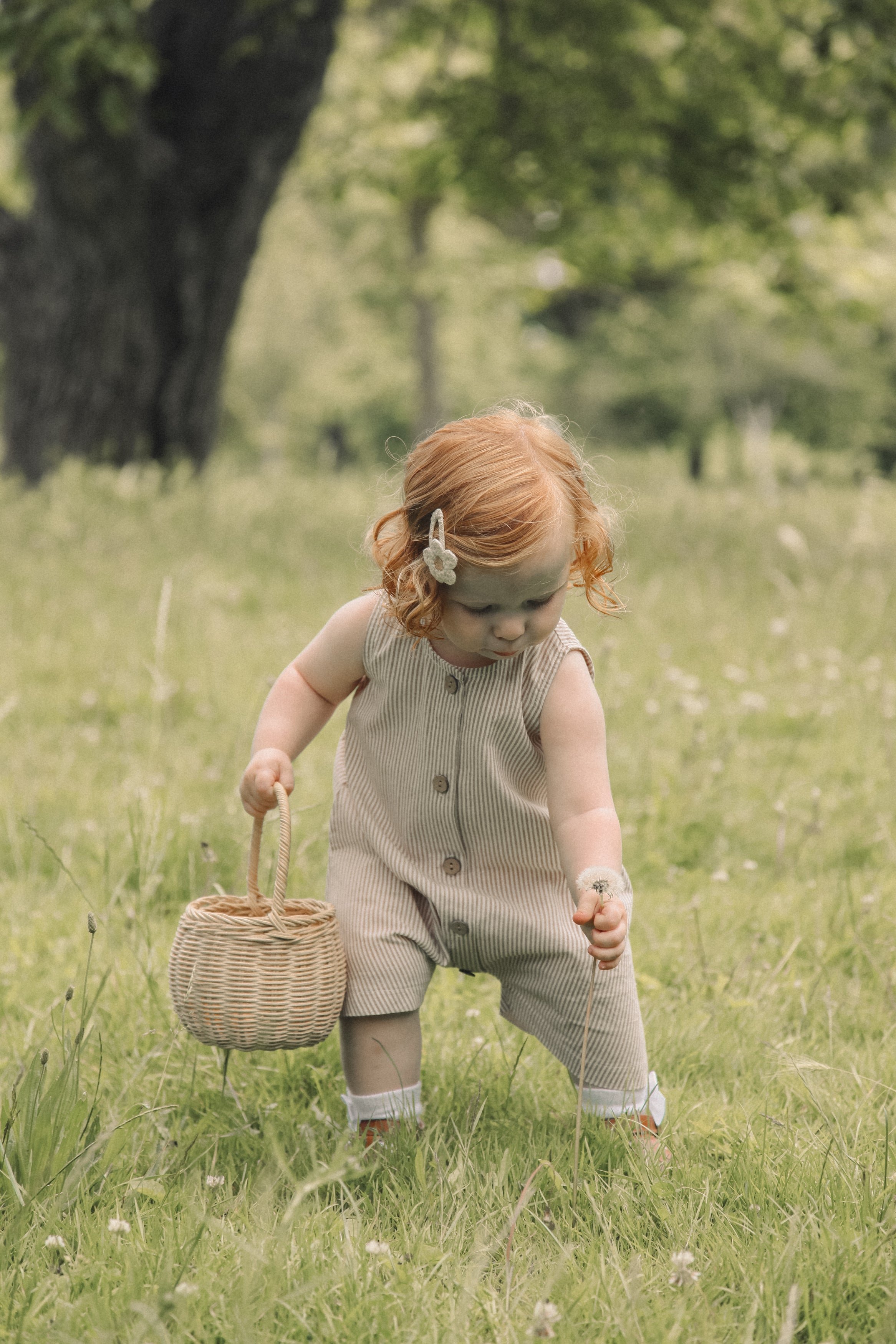 Brown/Stripe Cotton Button Front Playsuit