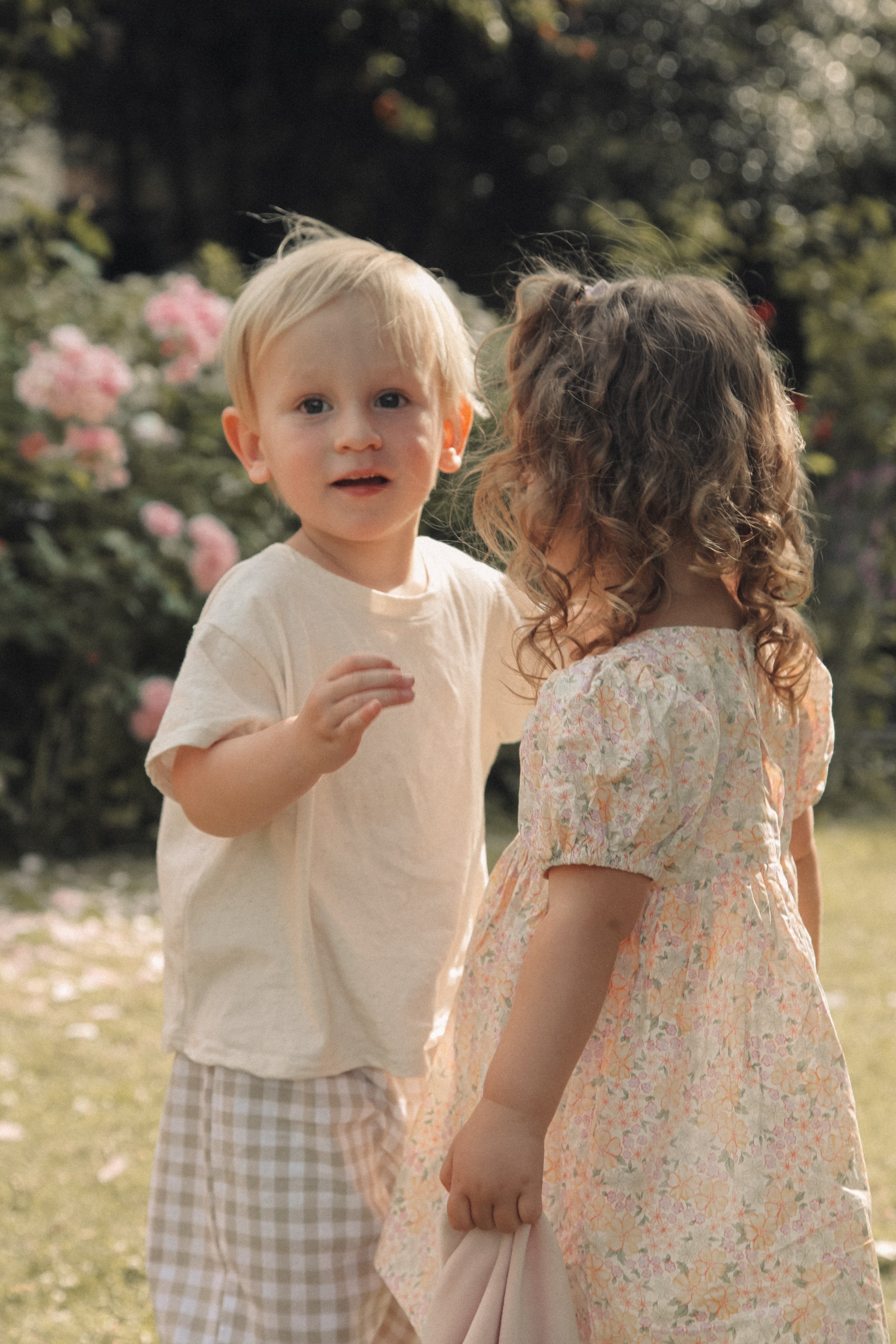 Spring Meadow Puff Short Sleeve Dress