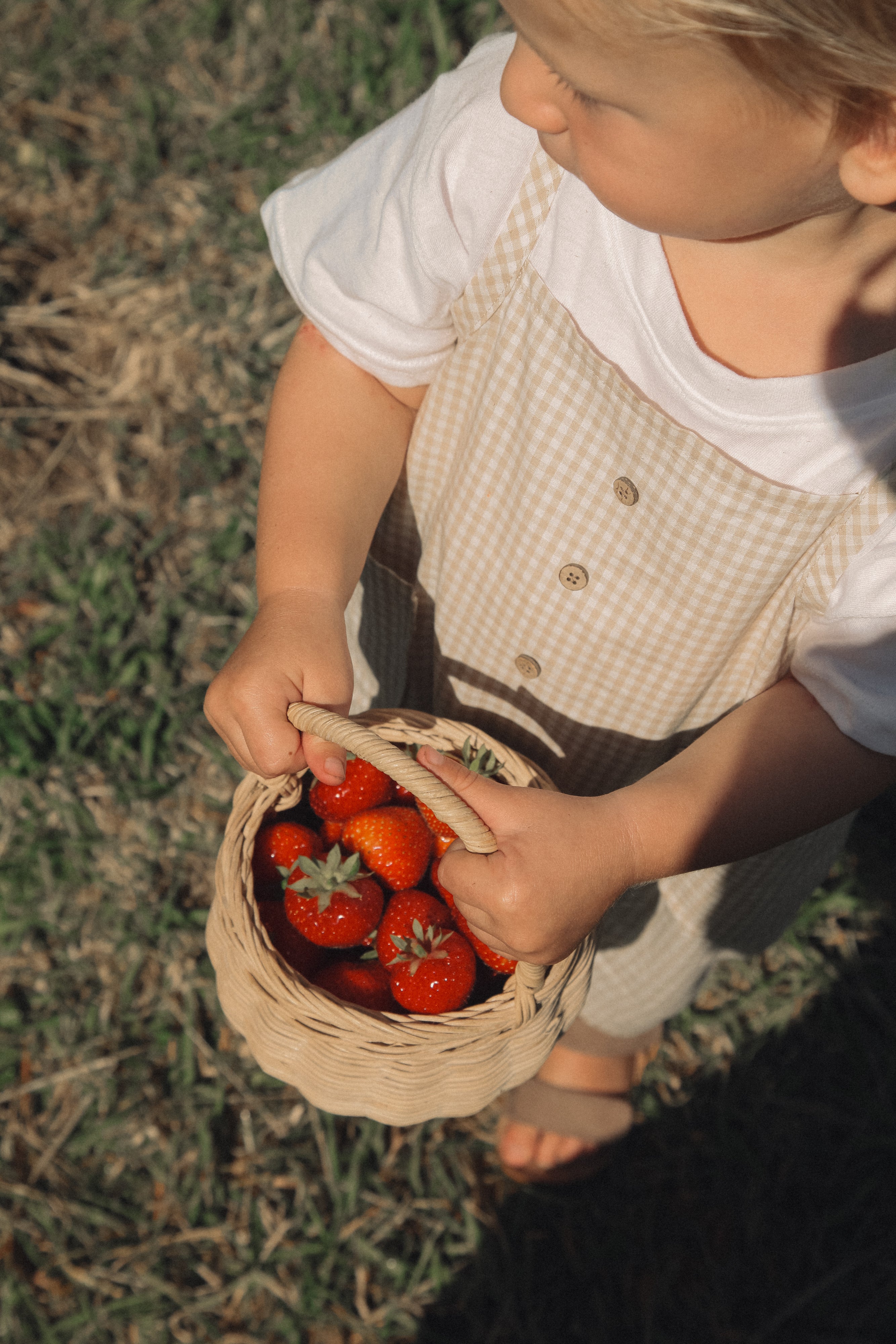 Unisex Beige/Gingham Pocket Shortie Overalls