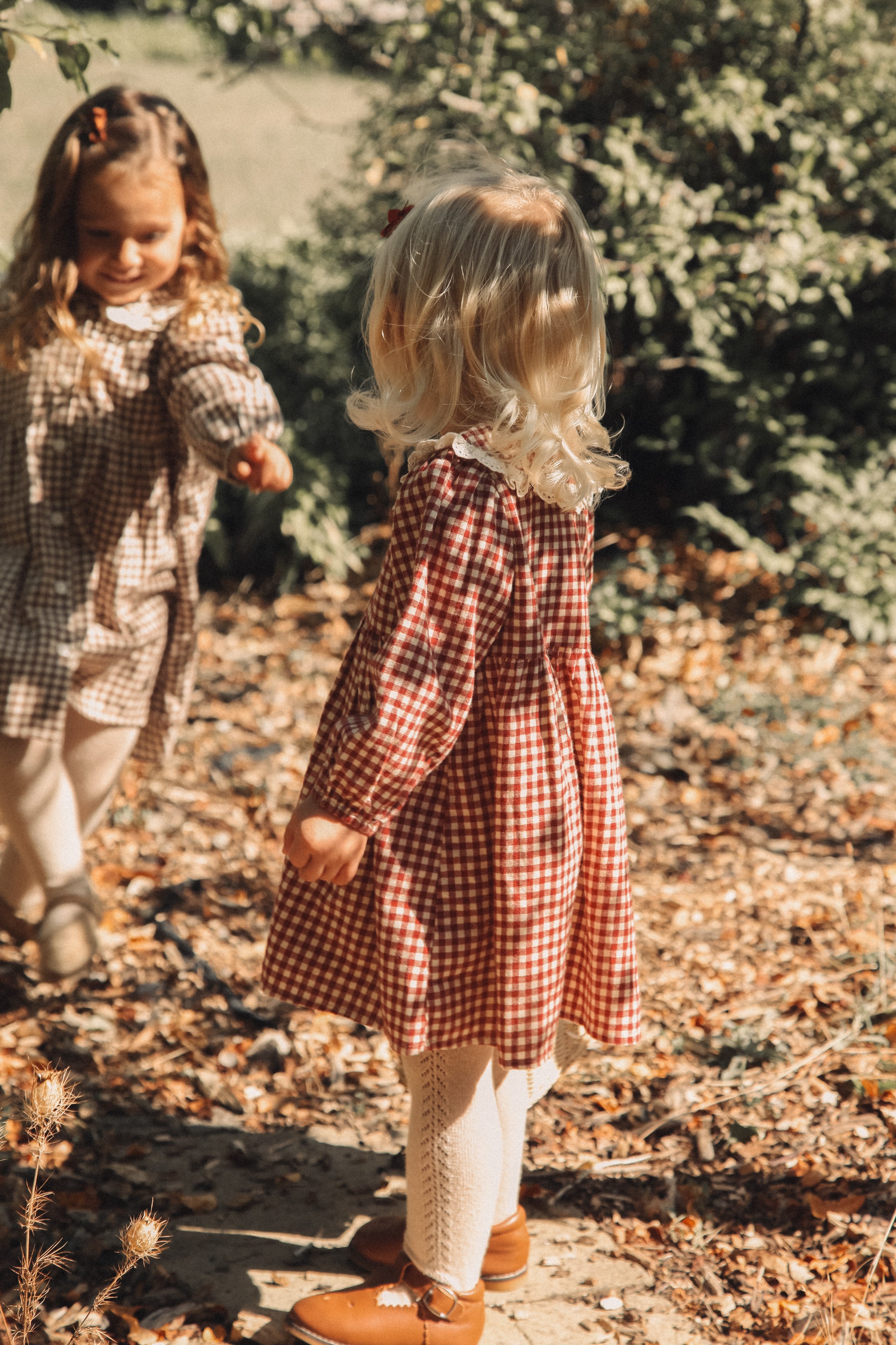 Berry/Gingham Oversized Frill Collar Dress
