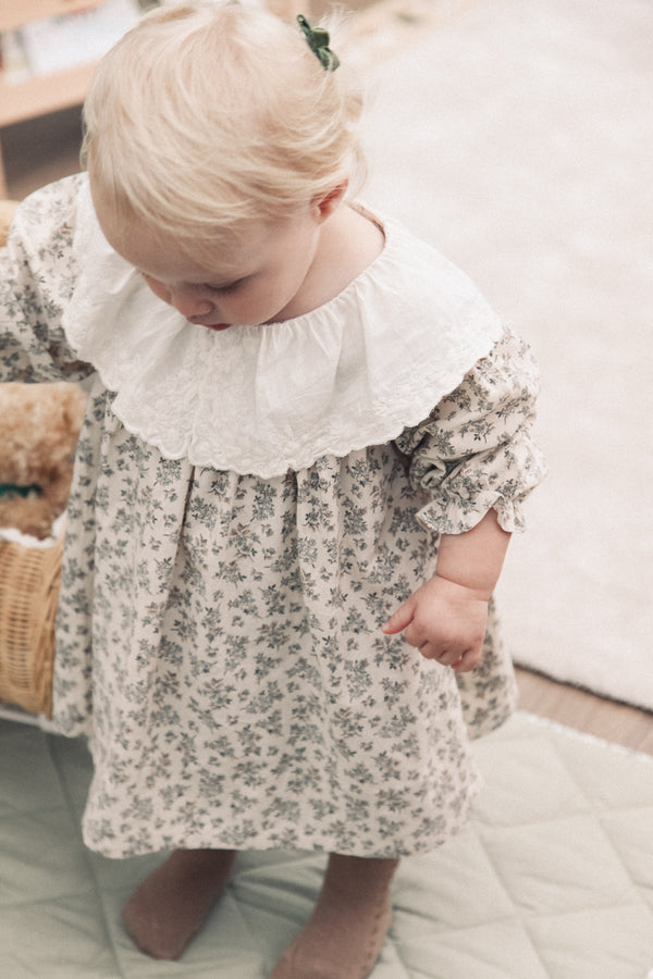 Embroidered Oversized Collar Floral Dress