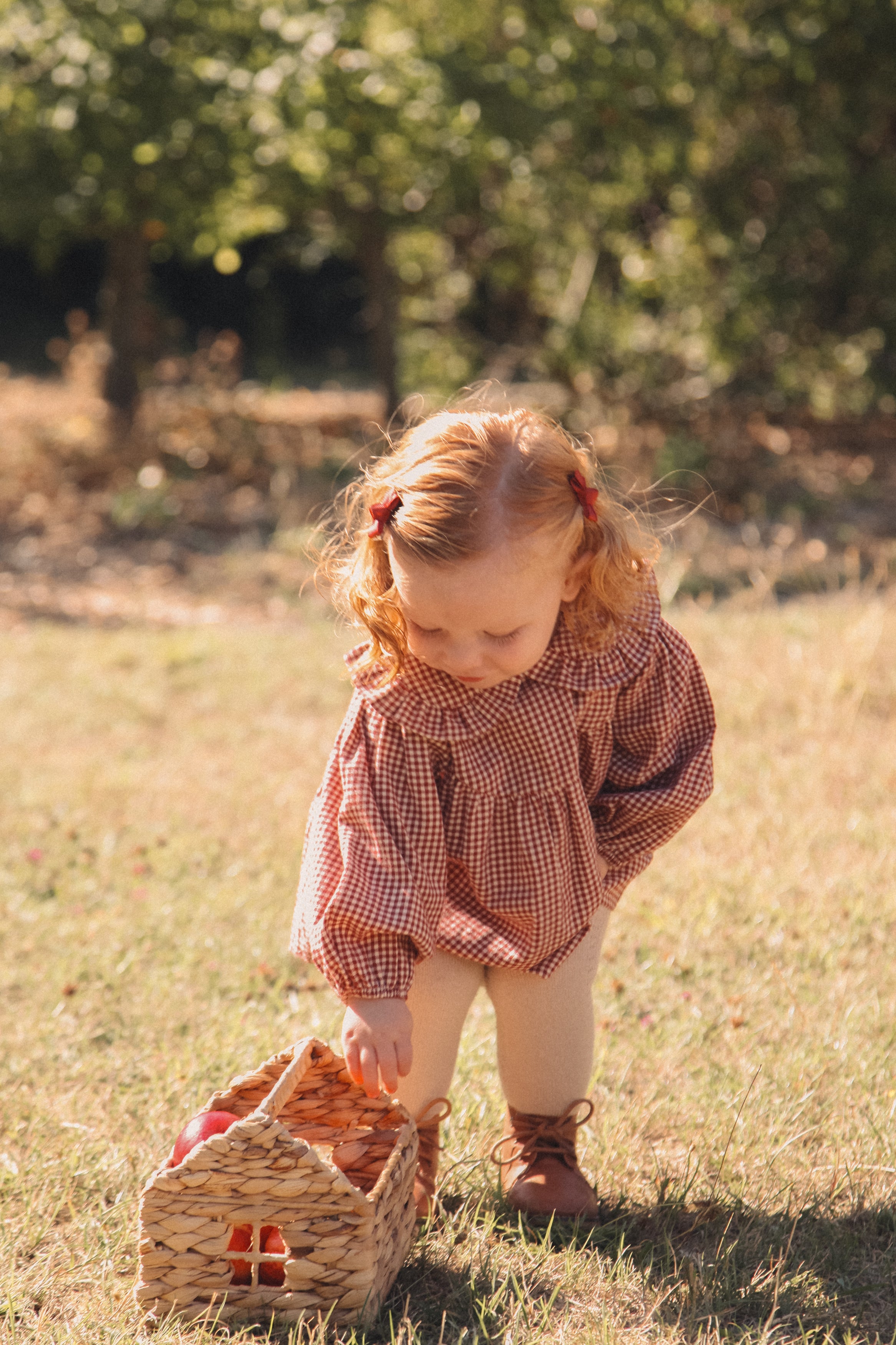 Berry/Gingham Frill Collar Top & Bloomer Set