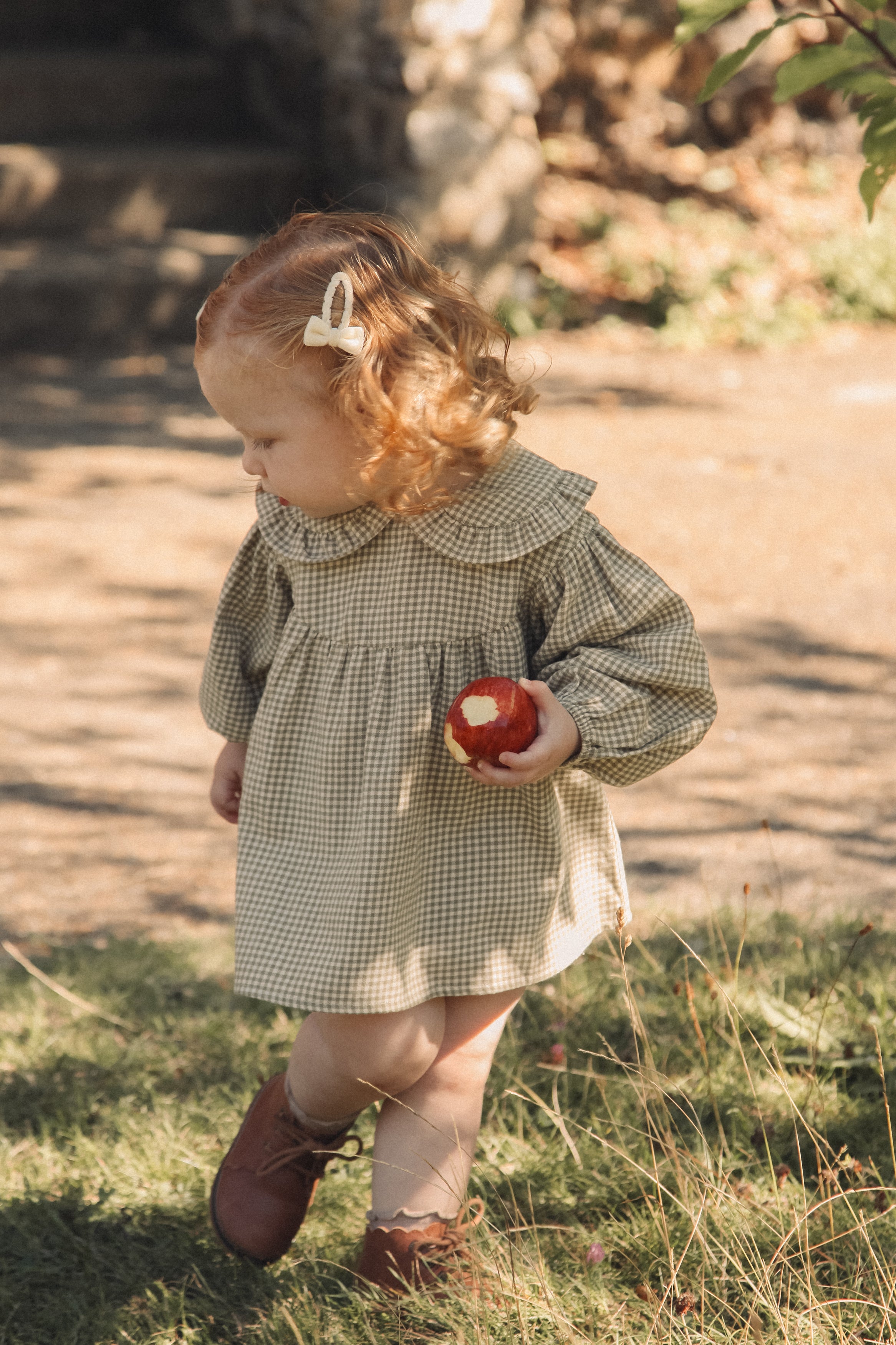 Olive/Gingham Frill Collar Top & Bloomer Set