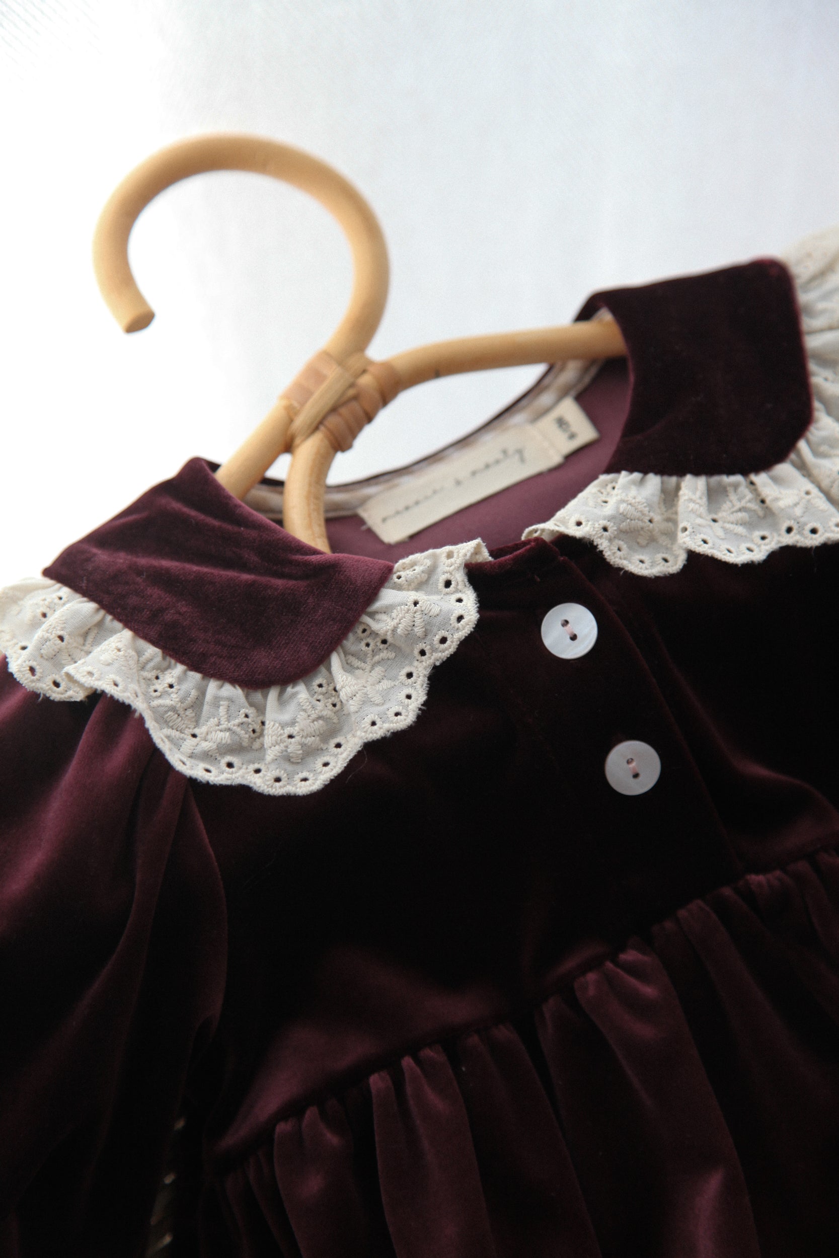 Dark Plum/Velvet Embroidered Frill Collar Dress