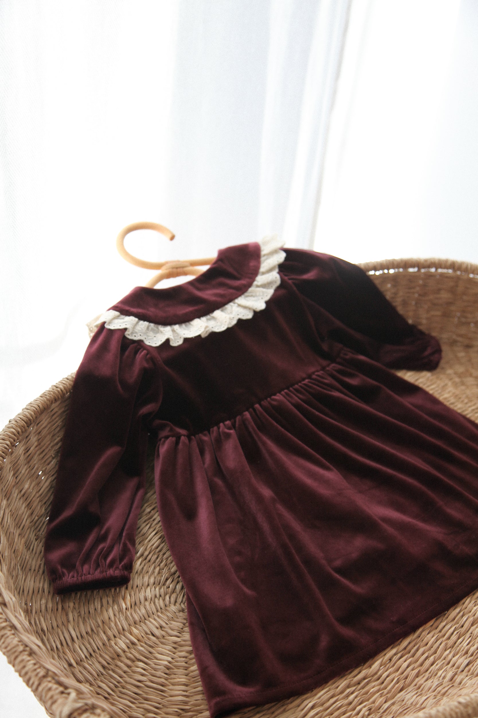 Dark Plum/Velvet Embroidered Frill Collar Dress