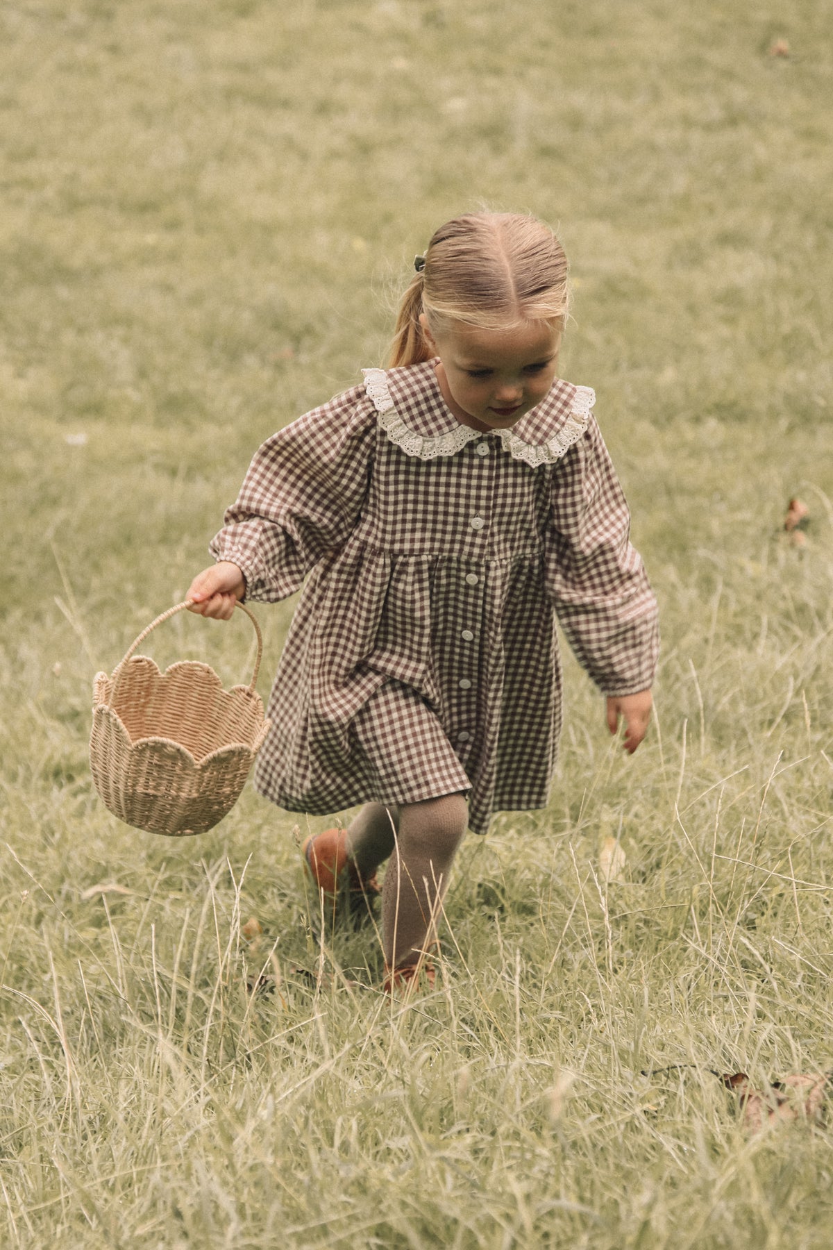 Brown/Gingham Oversized Frill Collar Dress