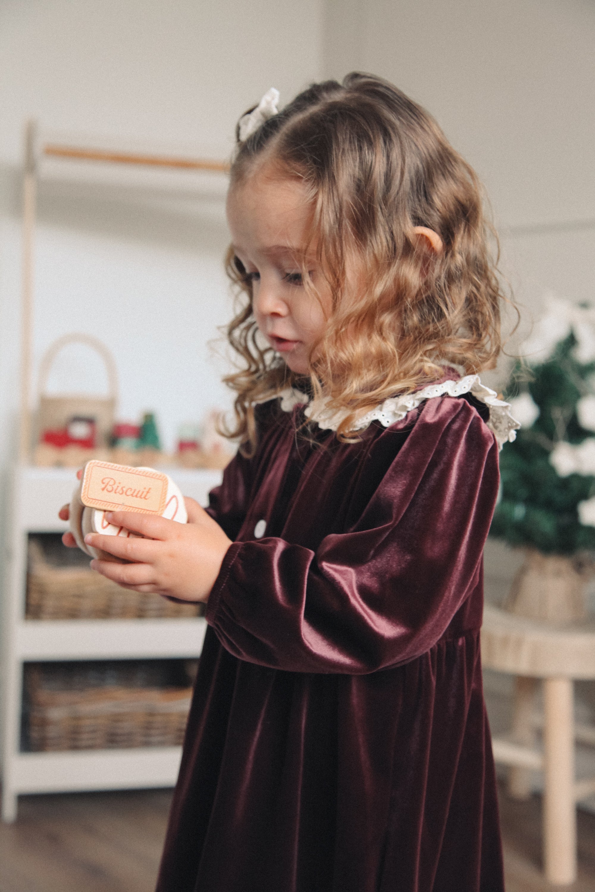Dark Plum/Velvet Embroidered Frill Collar Dress