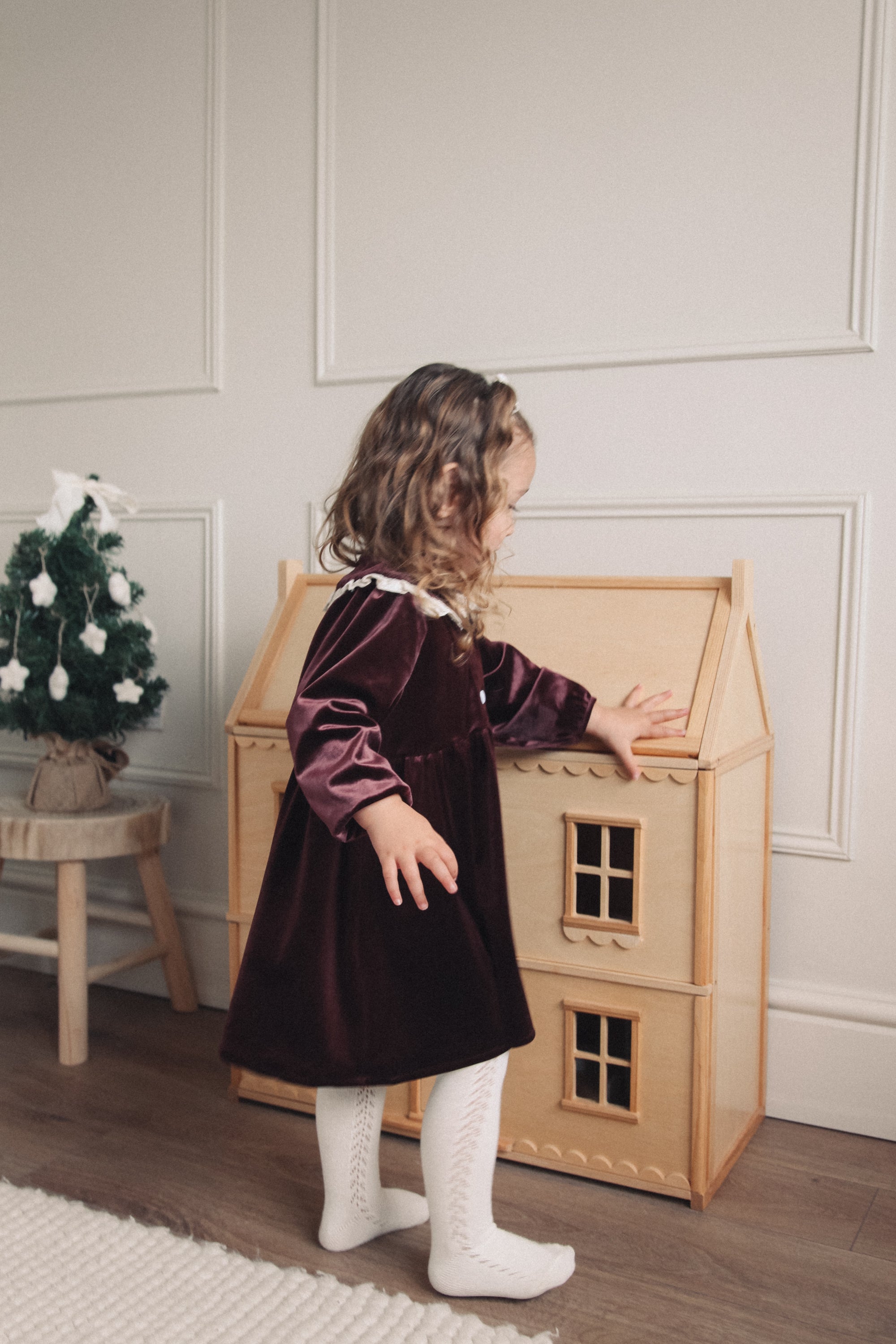 Dark Plum/Velvet Embroidered Frill Collar Dress