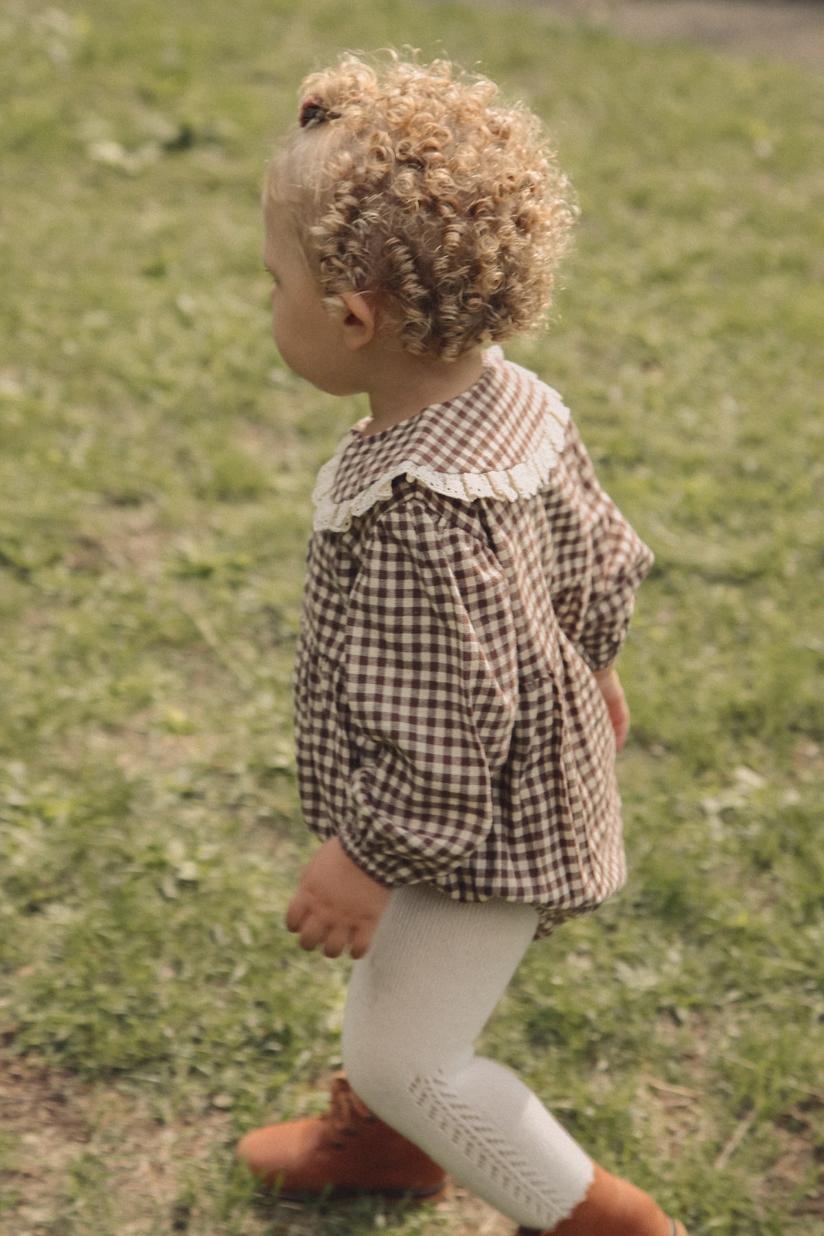 Brown/Gingham Oversized Frill Collar Romper