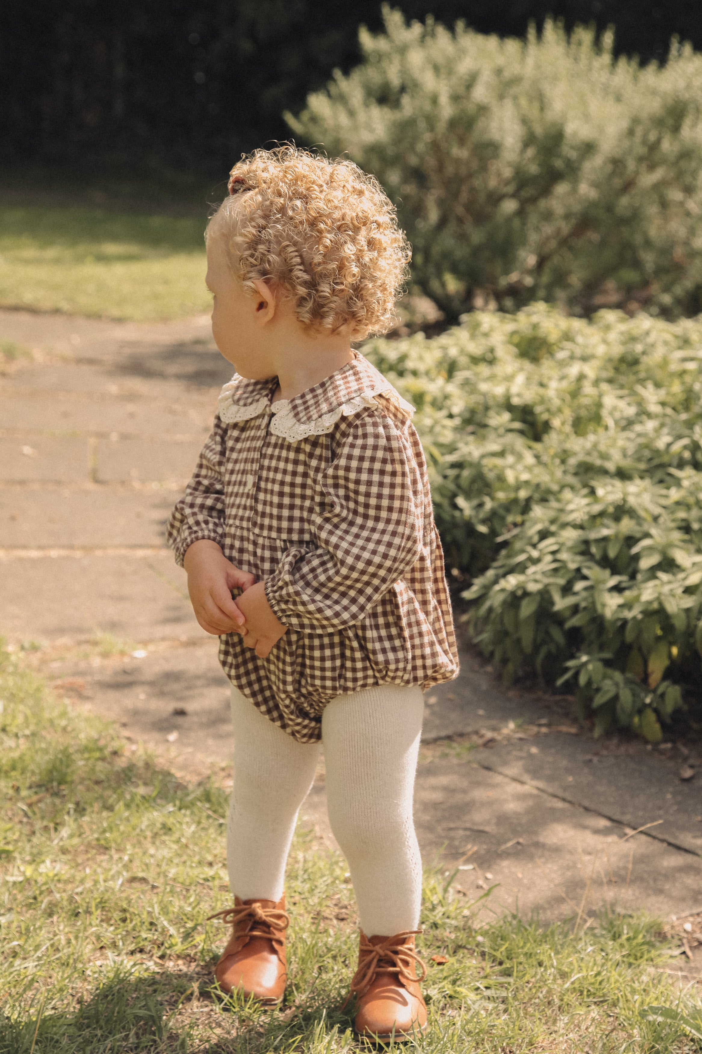 Brown/Gingham Oversized Frill Collar Romper