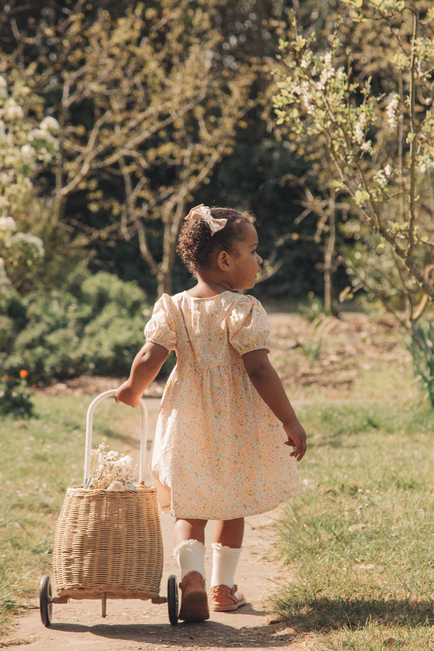 Spring Meadow Puff Short Sleeve Dress