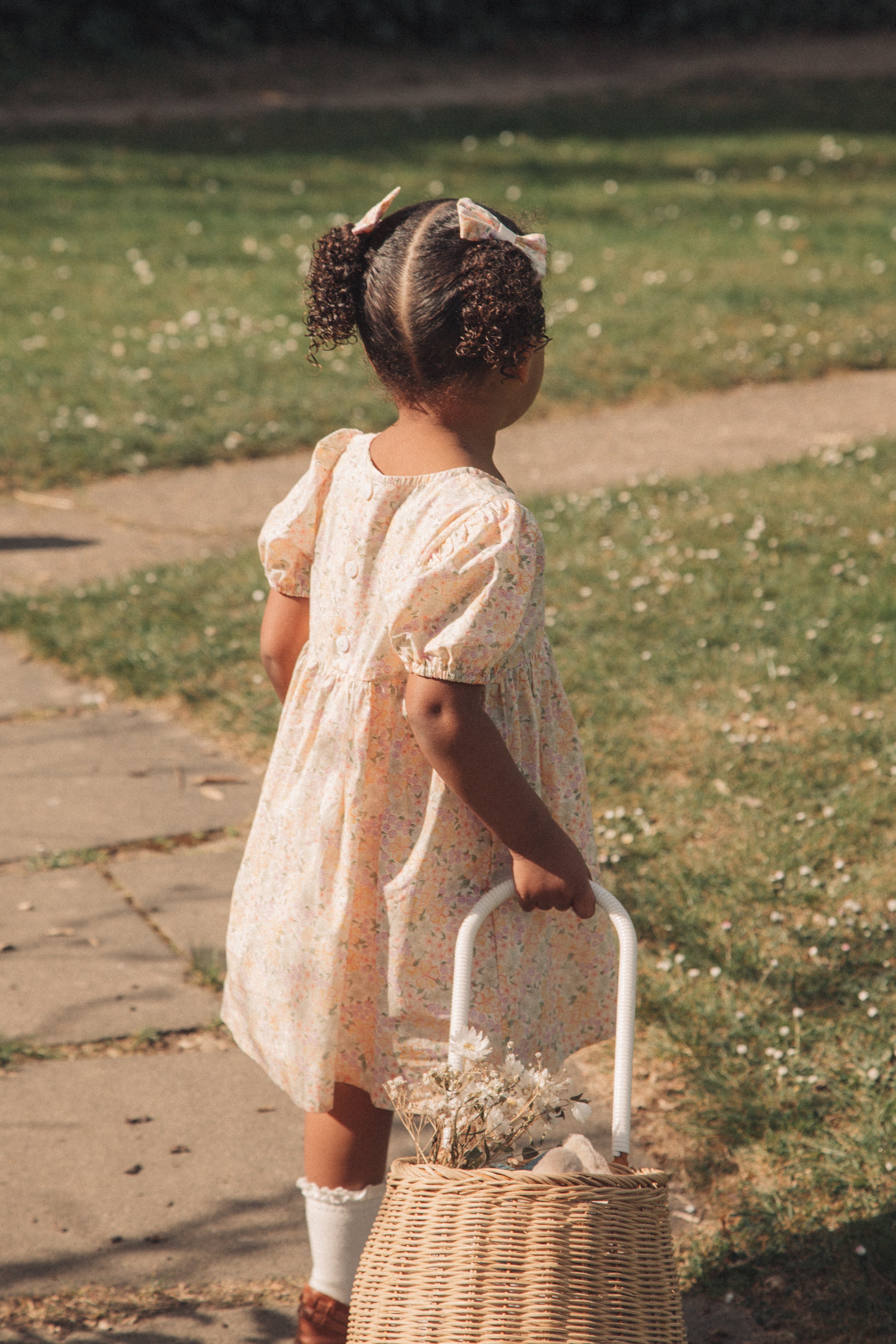 Large Cotton Bow in Spring/Meadow