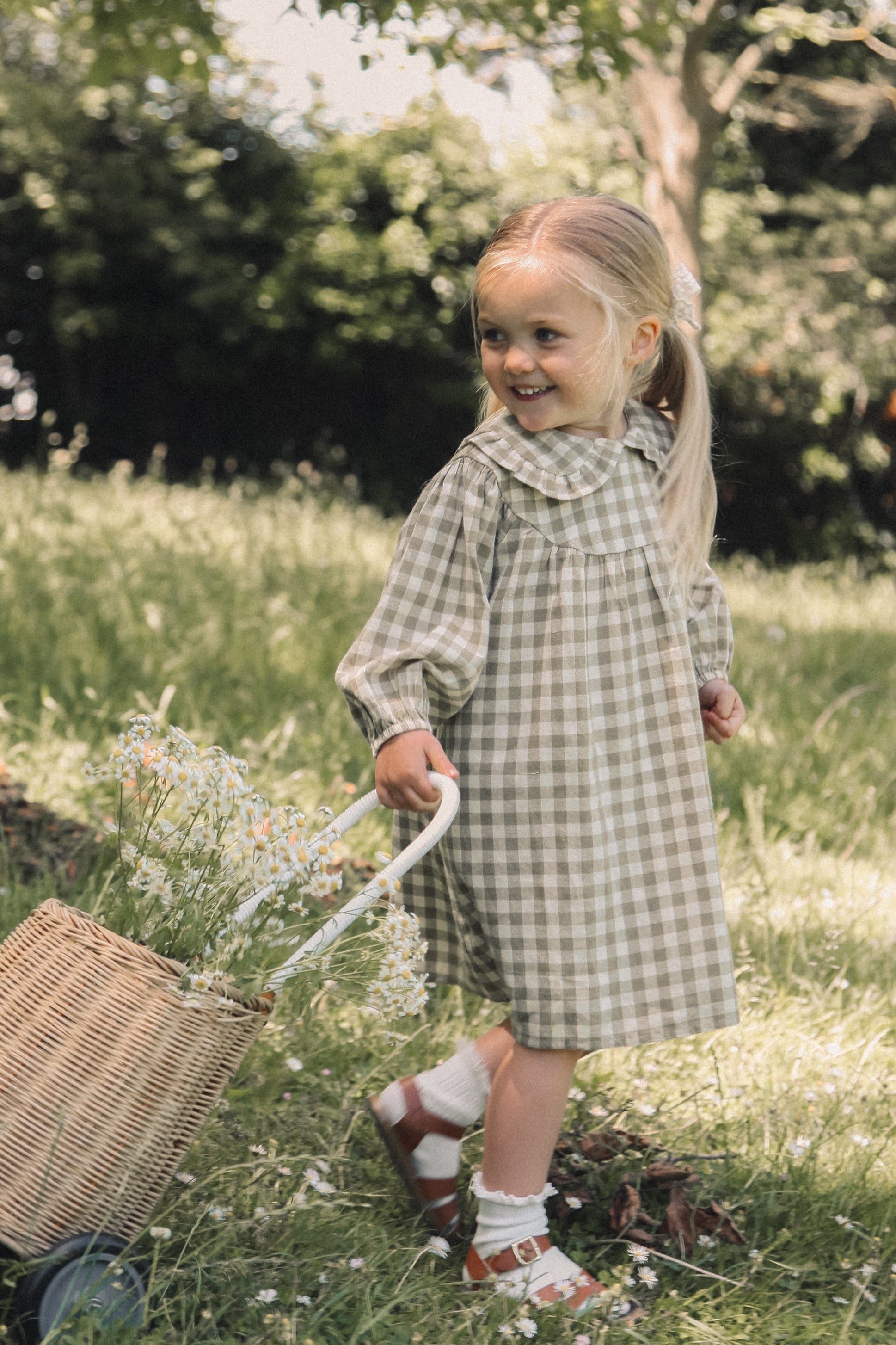 Sage Green/Check Frill Collar Smock Dress