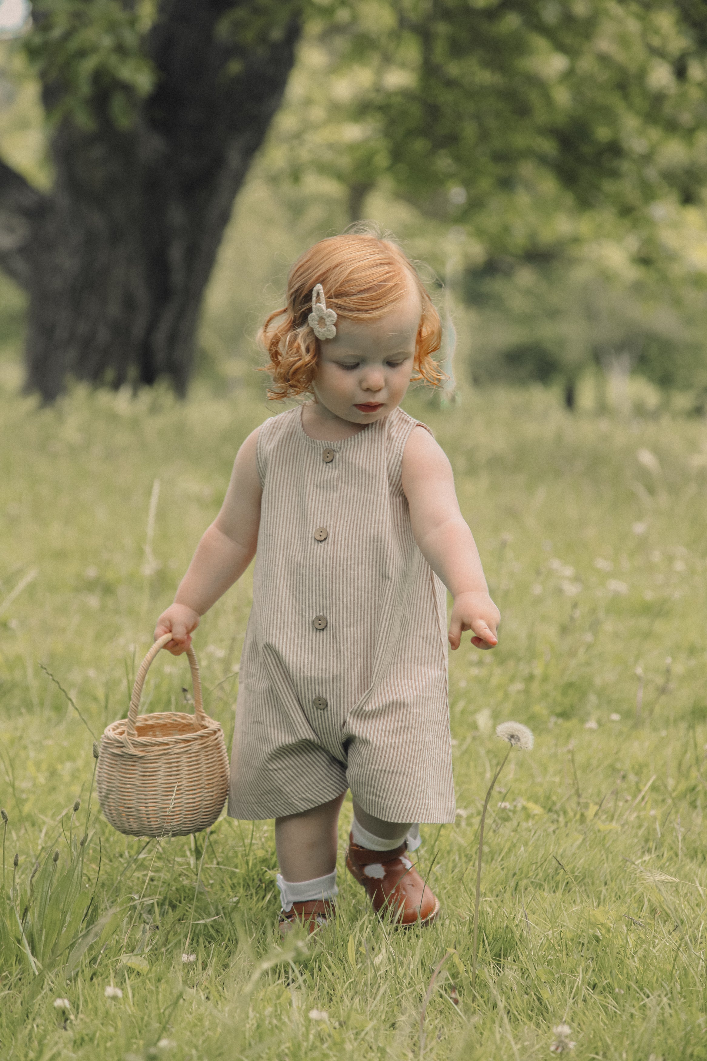 Brown/Stripe Cotton Button Front Playsuit
