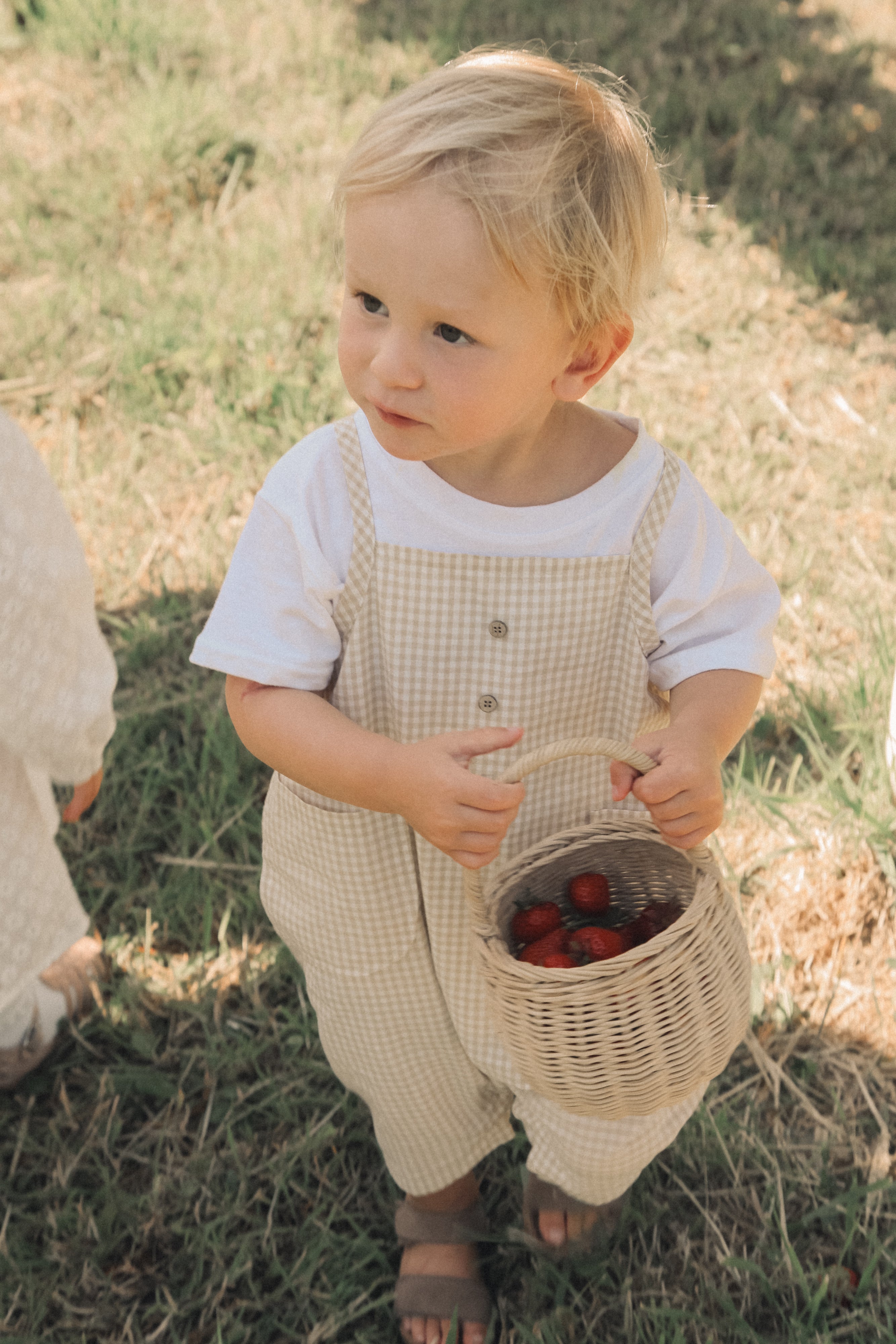 Unisex Beige/Gingham Pocket Shortie Overalls