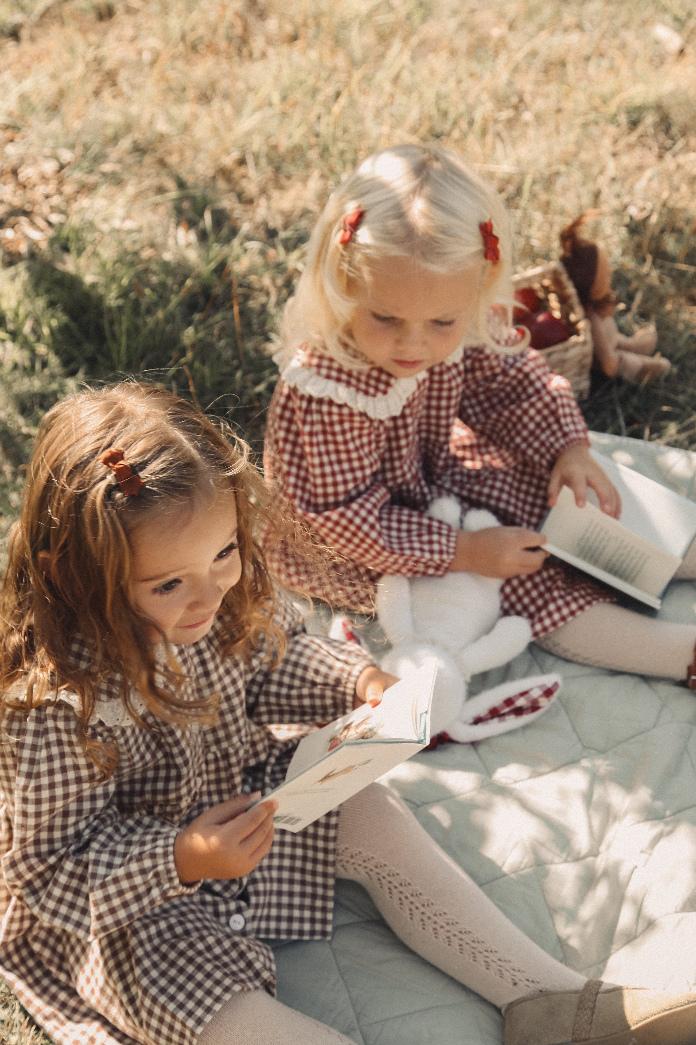 Berry/Gingham Oversized Frill Collar Dress