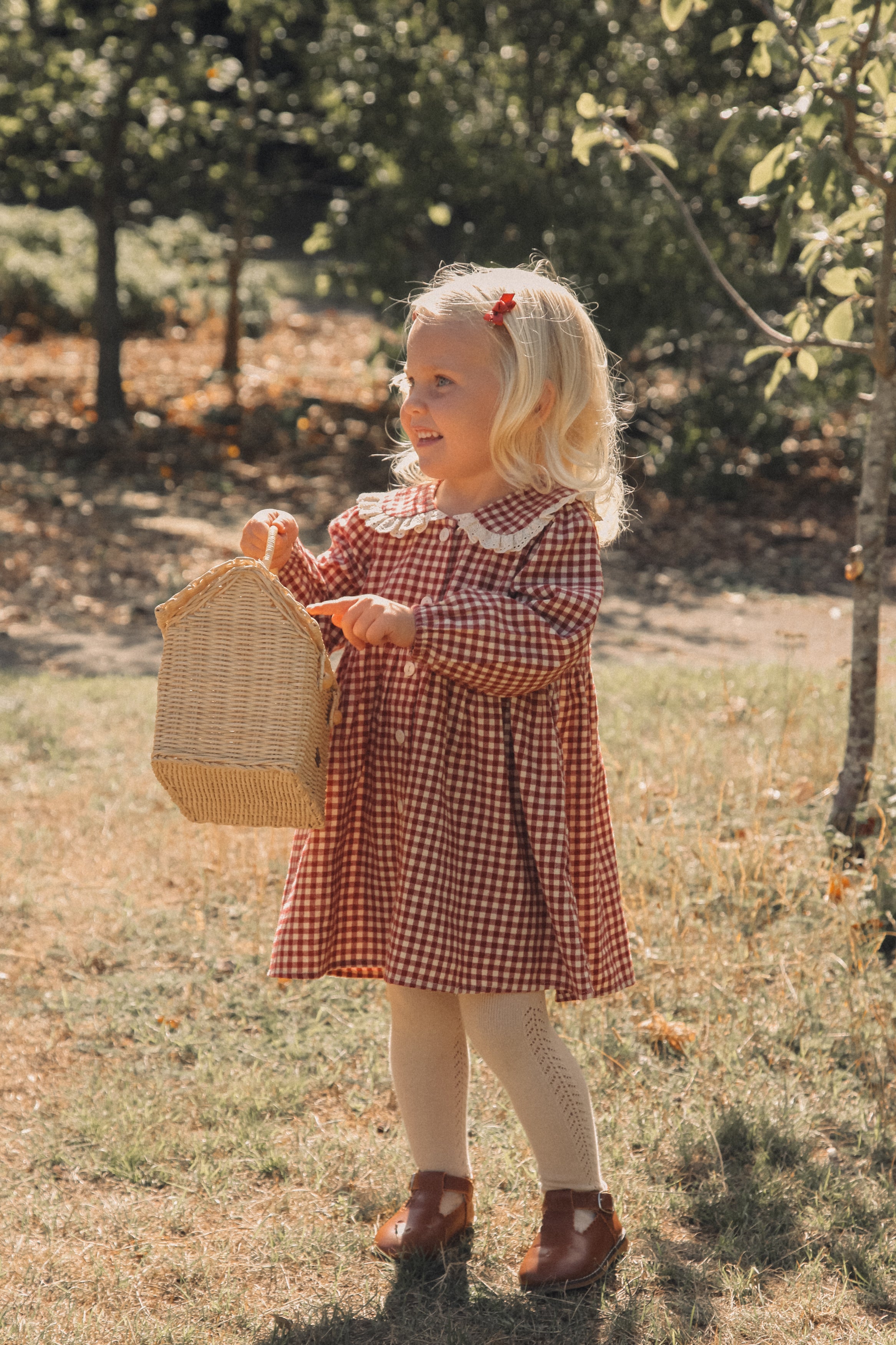 Berry/Gingham Oversized Frill Collar Dress
