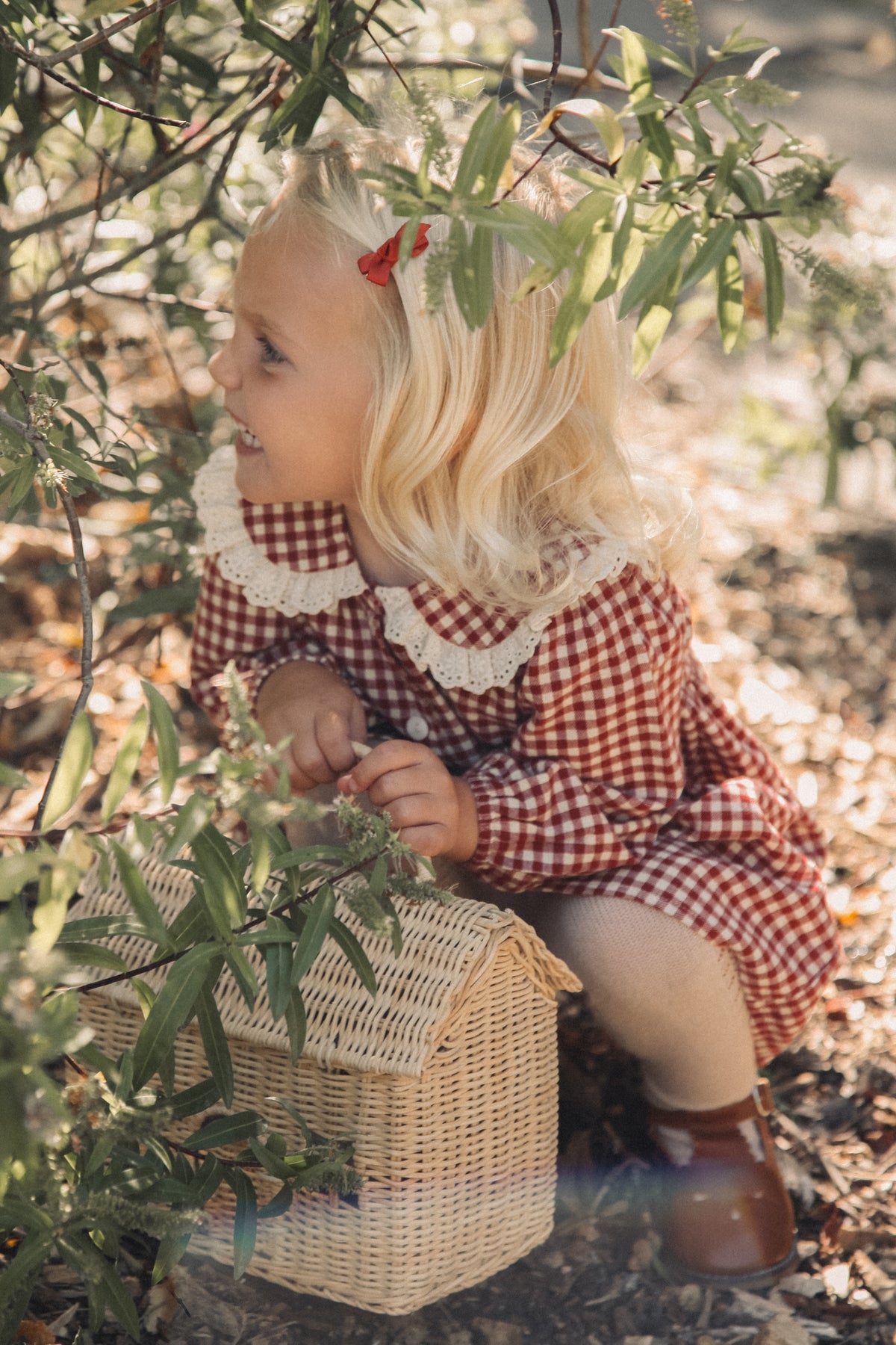 Berry/Gingham Oversized Frill Collar Dress