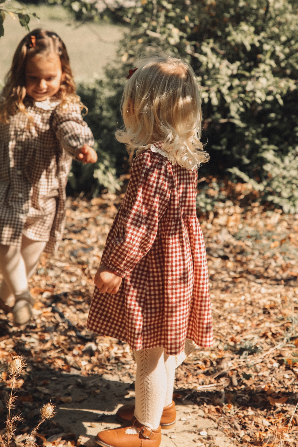 Berry/Gingham Oversized Frill Collar Dress