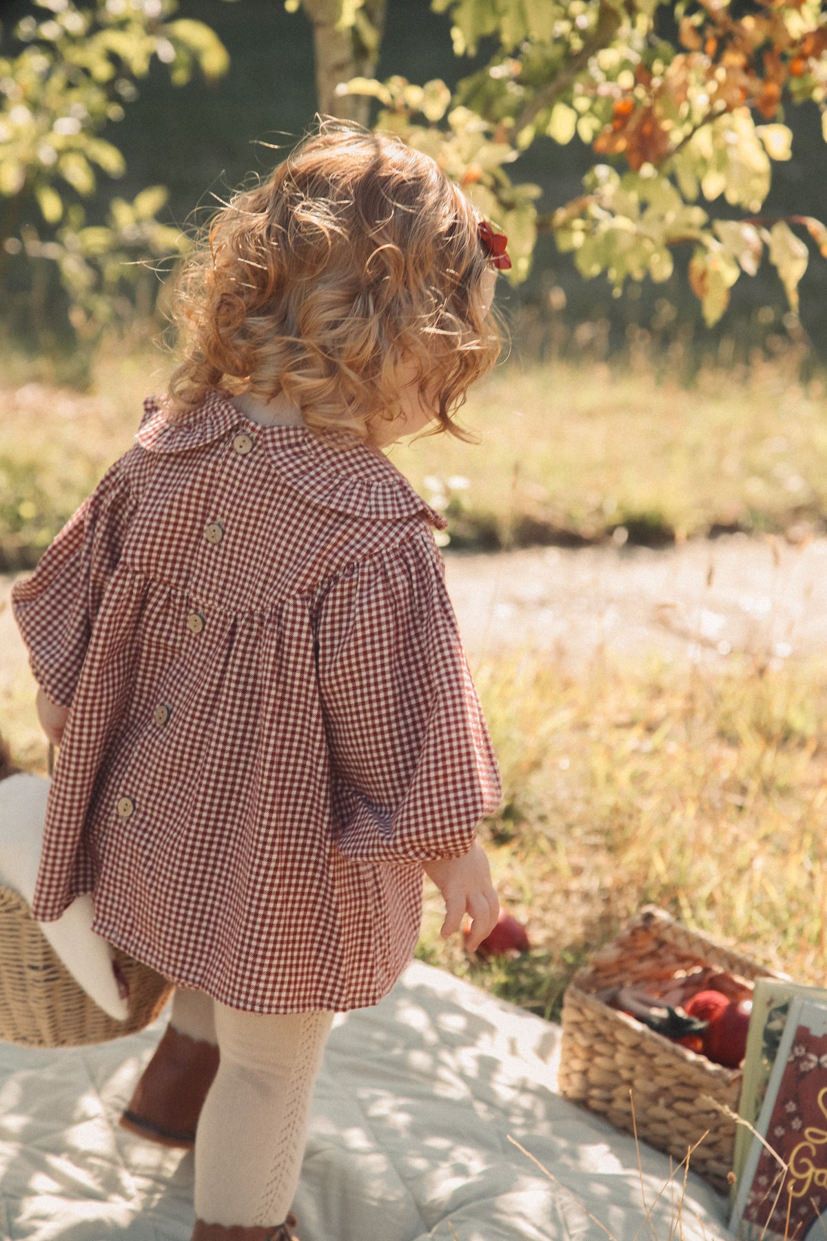 Berry/Gingham Frill Collar Top & Bloomer Set