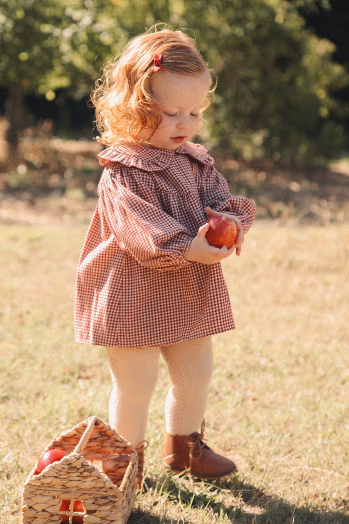 Berry/Gingham Frill Collar Top & Bloomer Set
