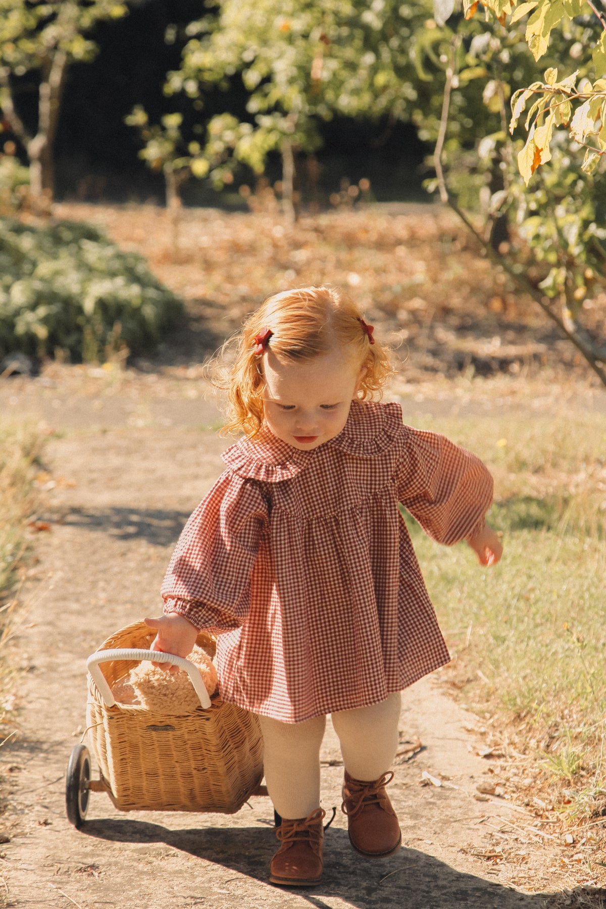 Berry/Gingham Frill Collar Top & Bloomer Set