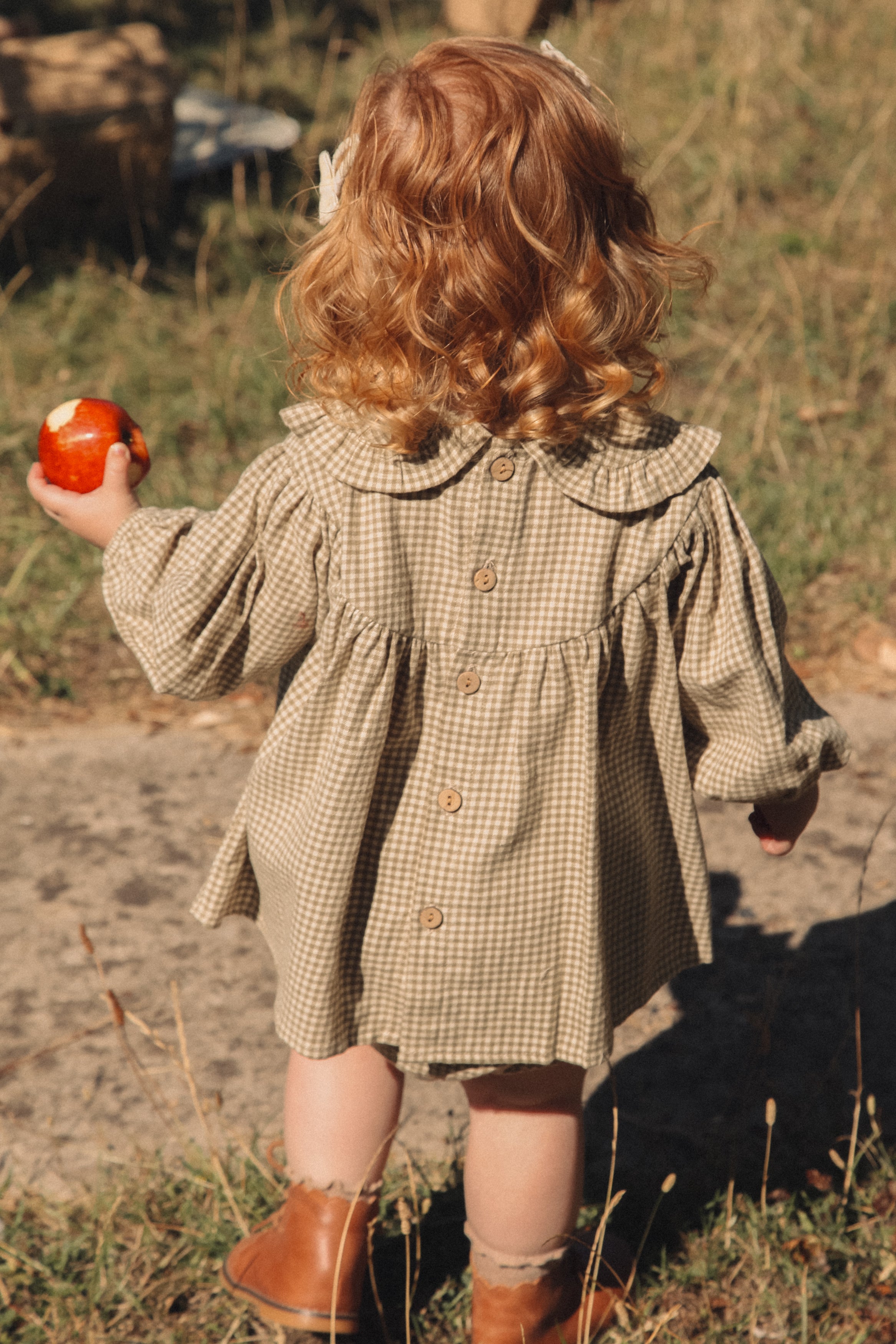 Olive/Gingham Frill Collar Top & Bloomer Set