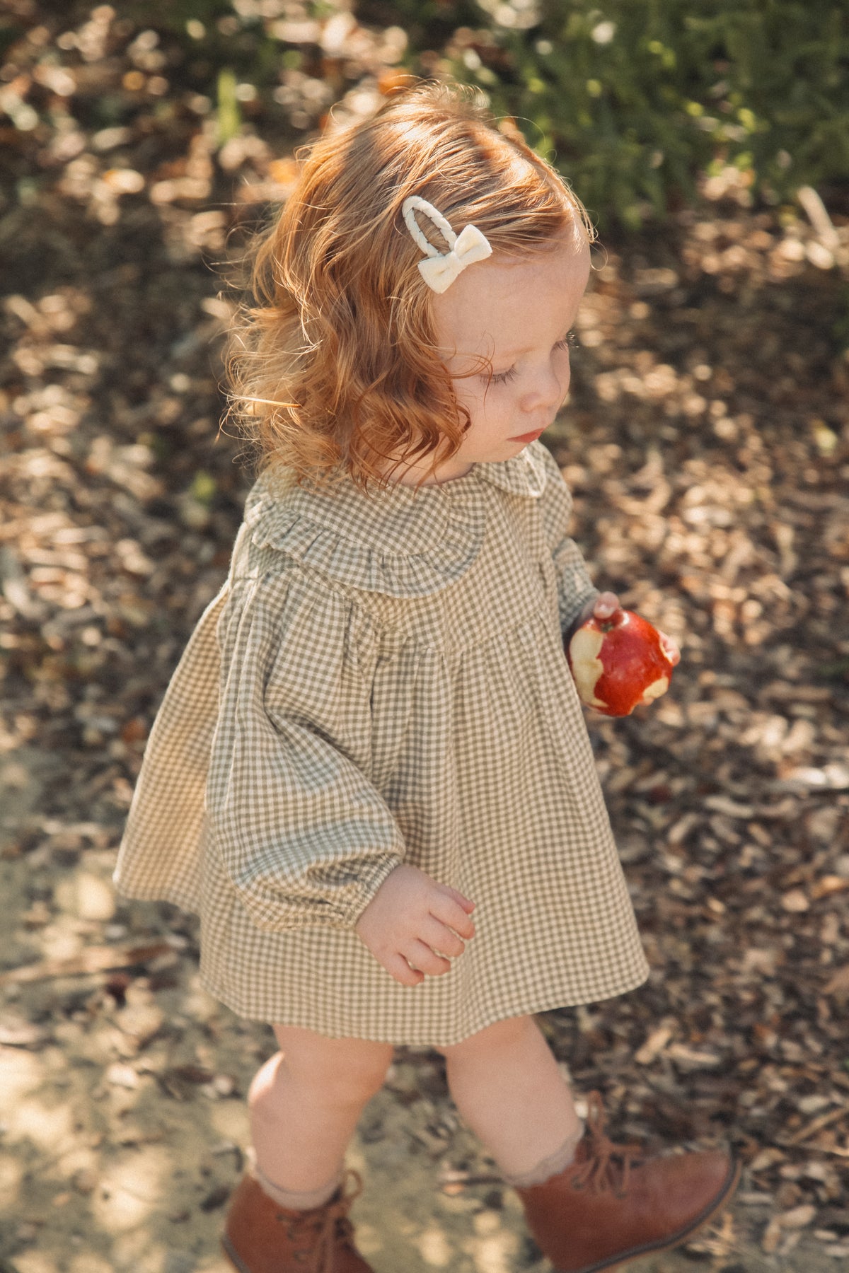 Olive/Gingham Frill Collar Top & Bloomer Set