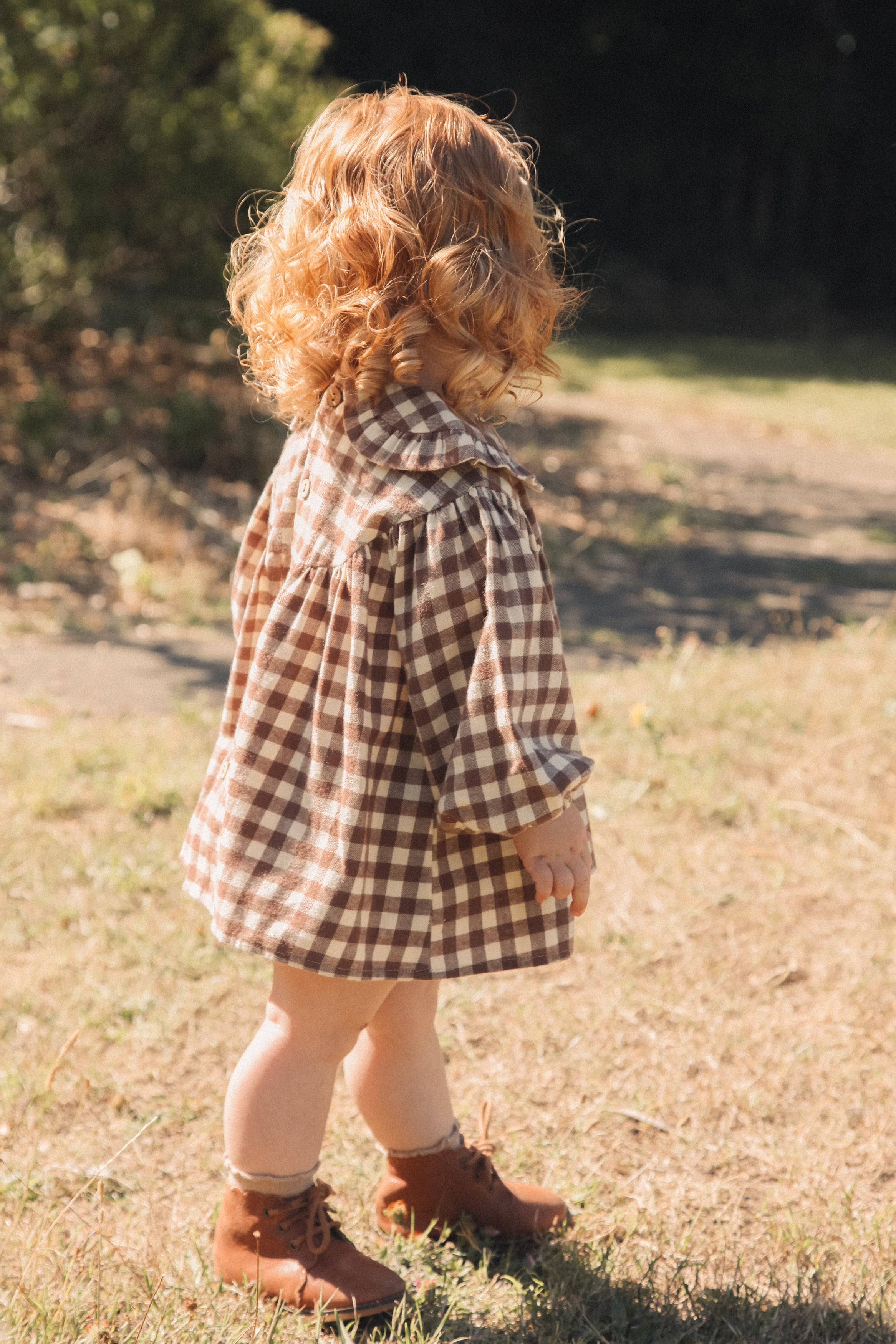 Brown/Check Frill Collar Top & Bloomer Set