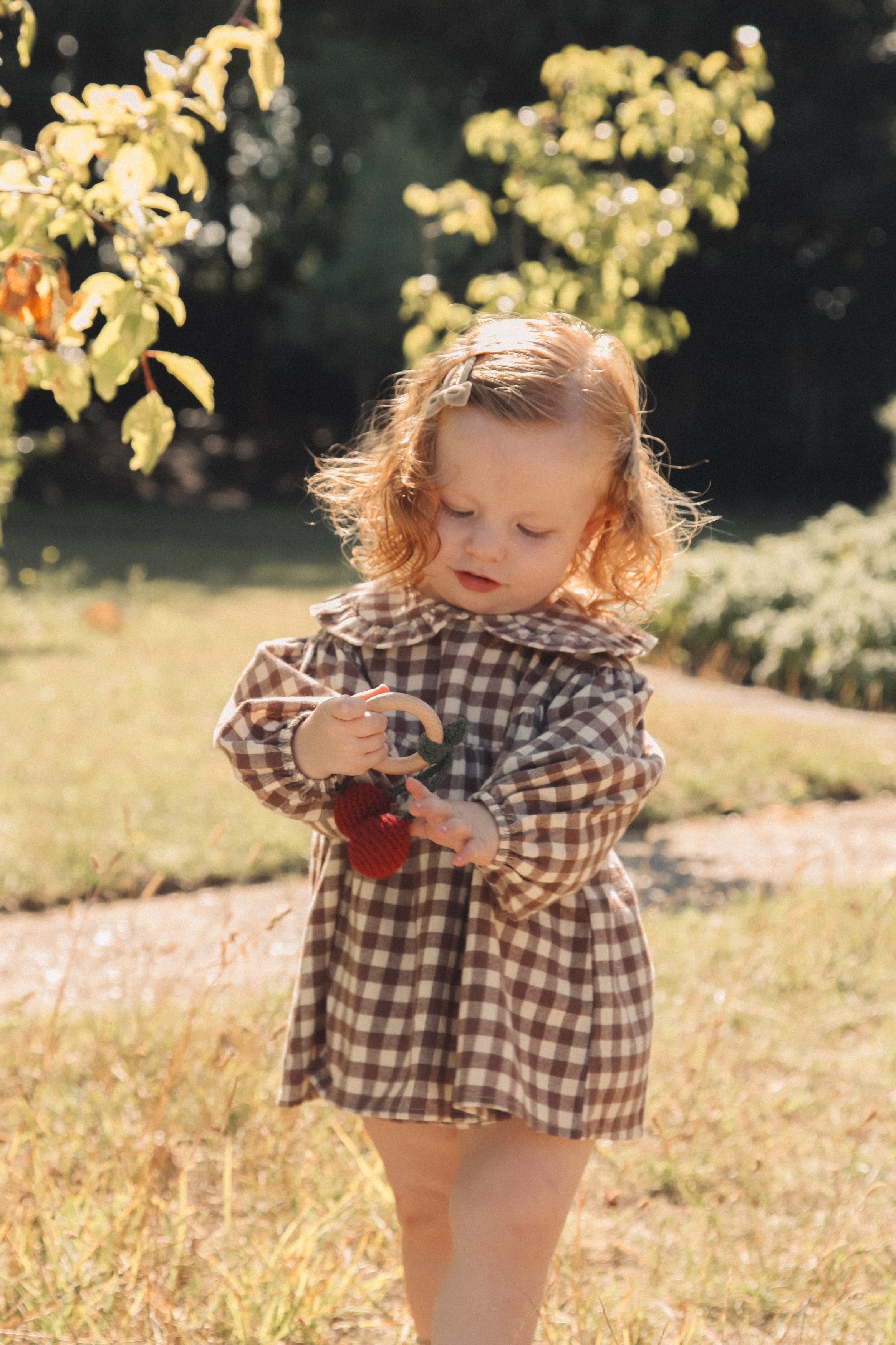 Brown/Check Frill Collar Top & Bloomer Set