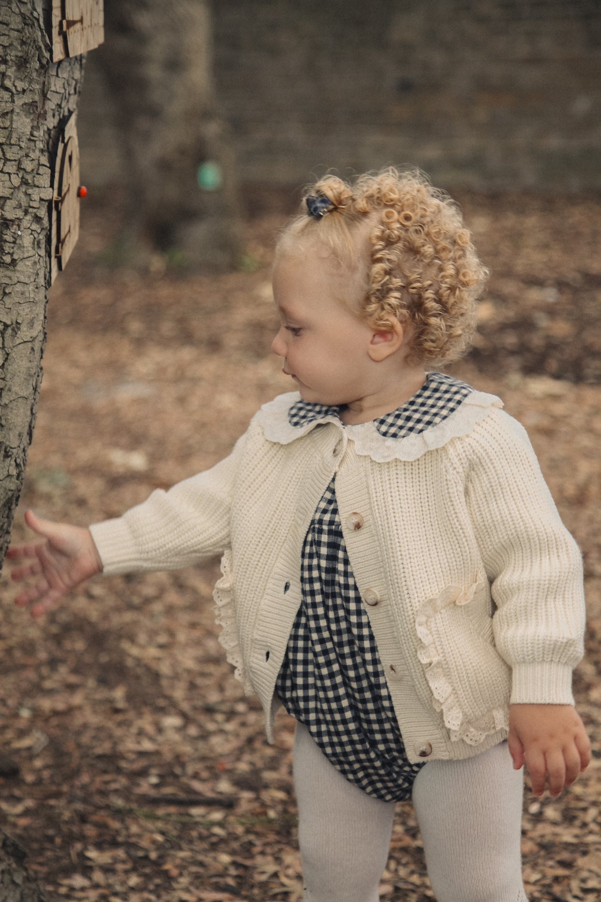 Navy/Gingham Frill Collar Romper
