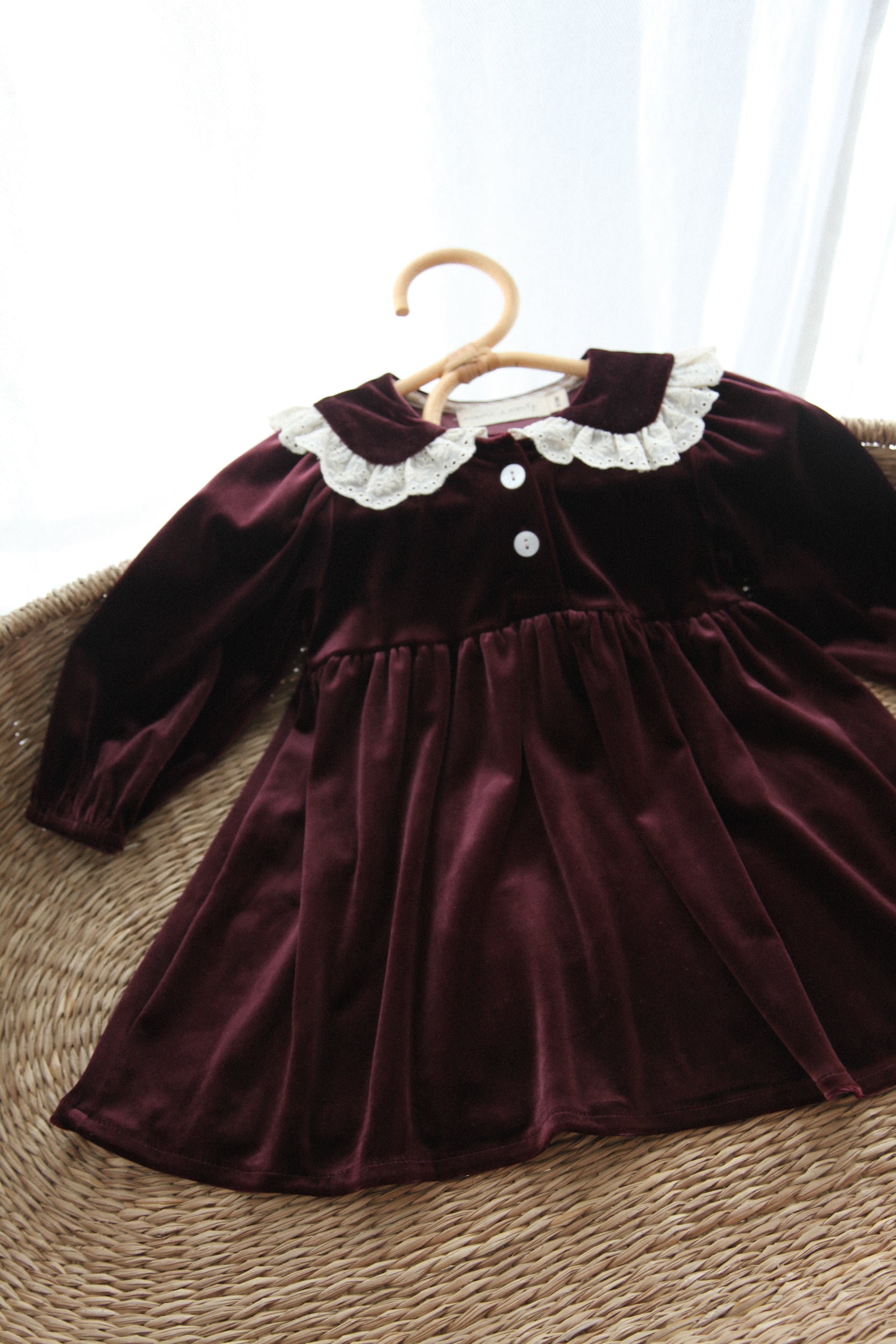 Dark Plum/Velvet Embroidered Frill Collar Dress
