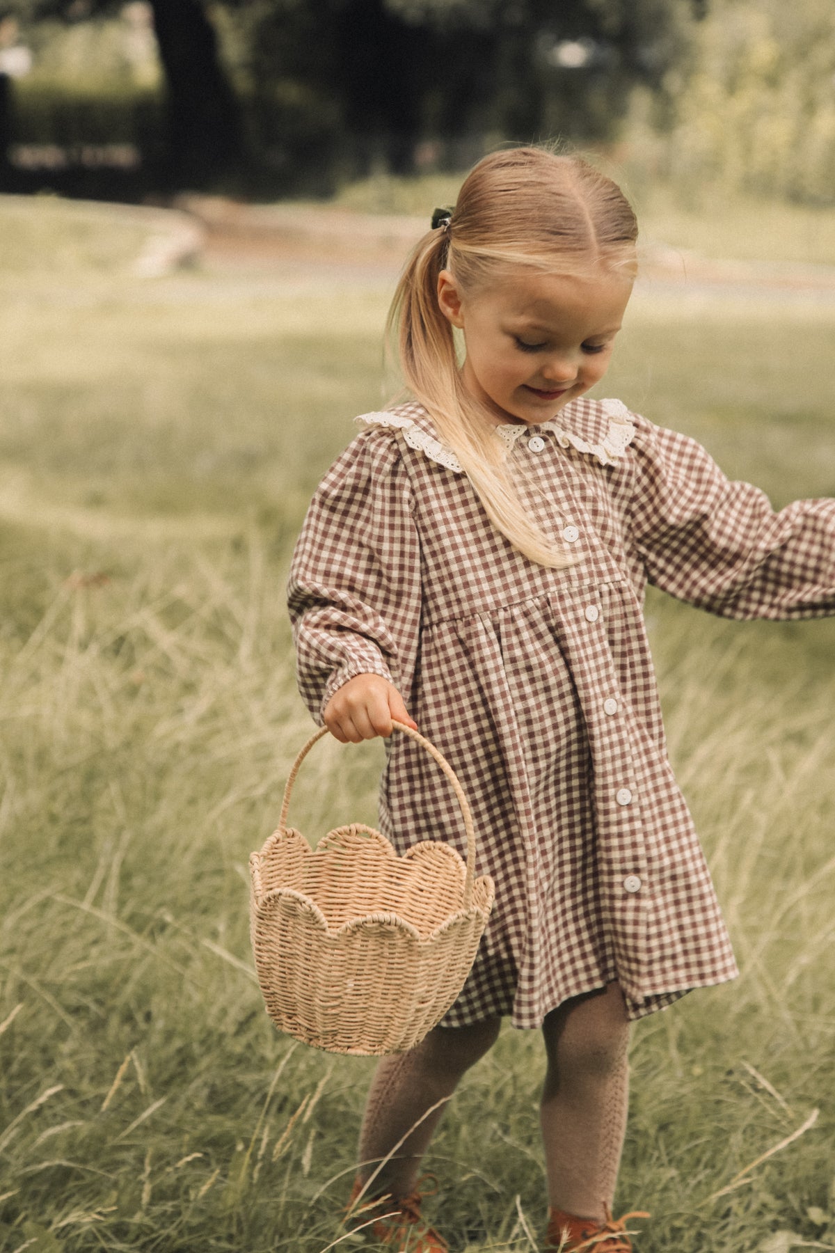 Brown/Gingham Oversized Frill Collar Dress