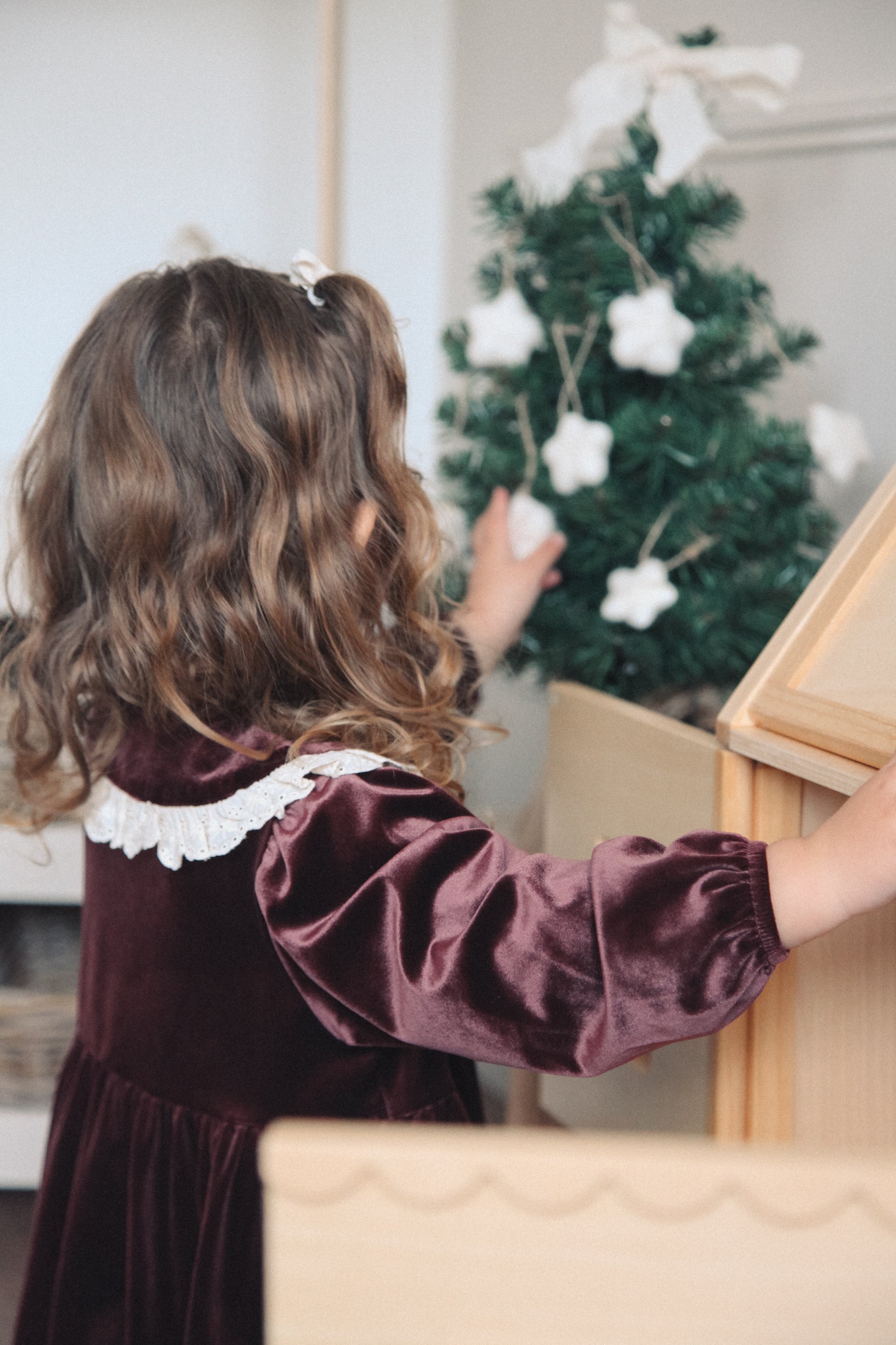 Dark Plum/Velvet Embroidered Frill Collar Dress