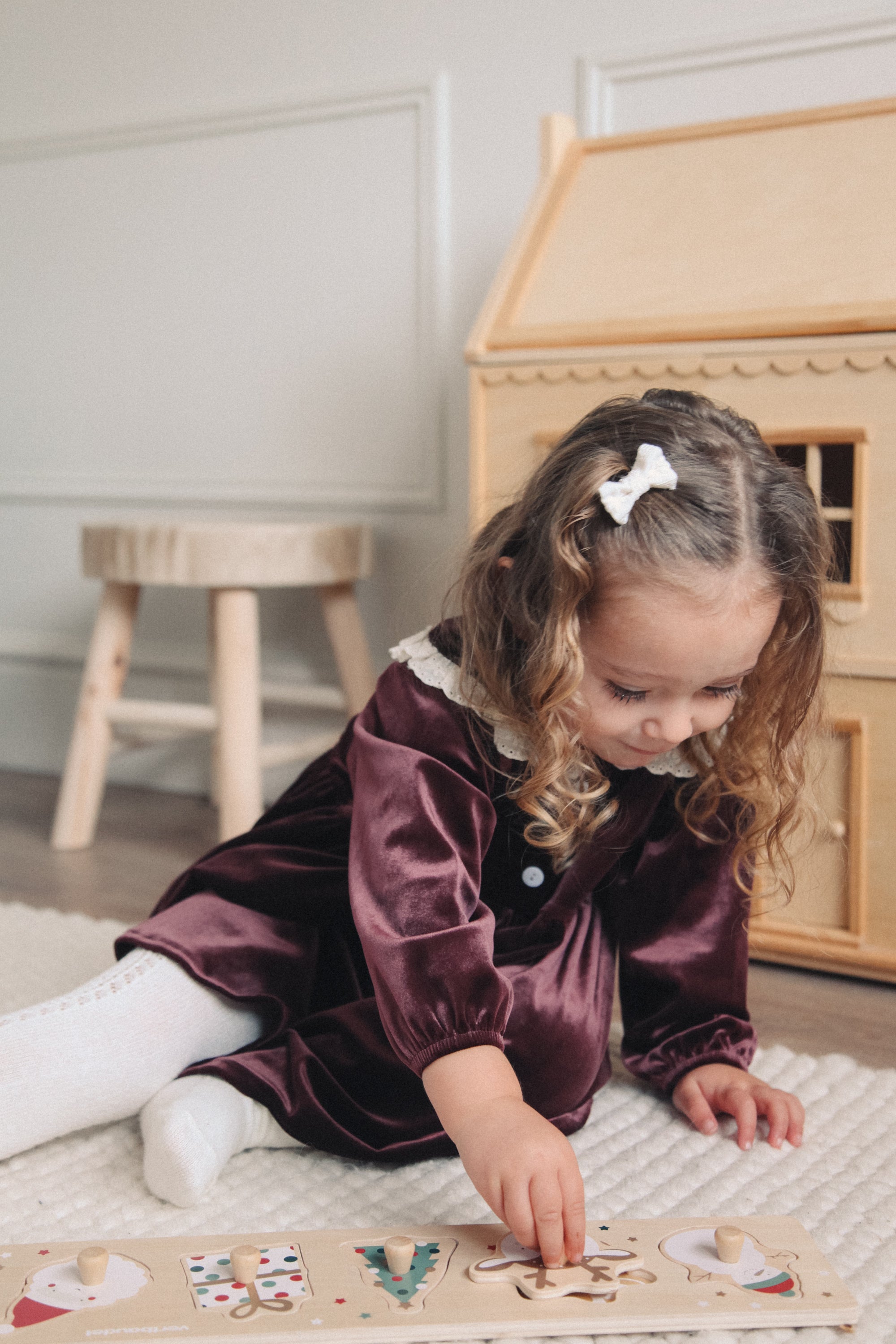 Dark Plum/Velvet Embroidered Frill Collar Dress