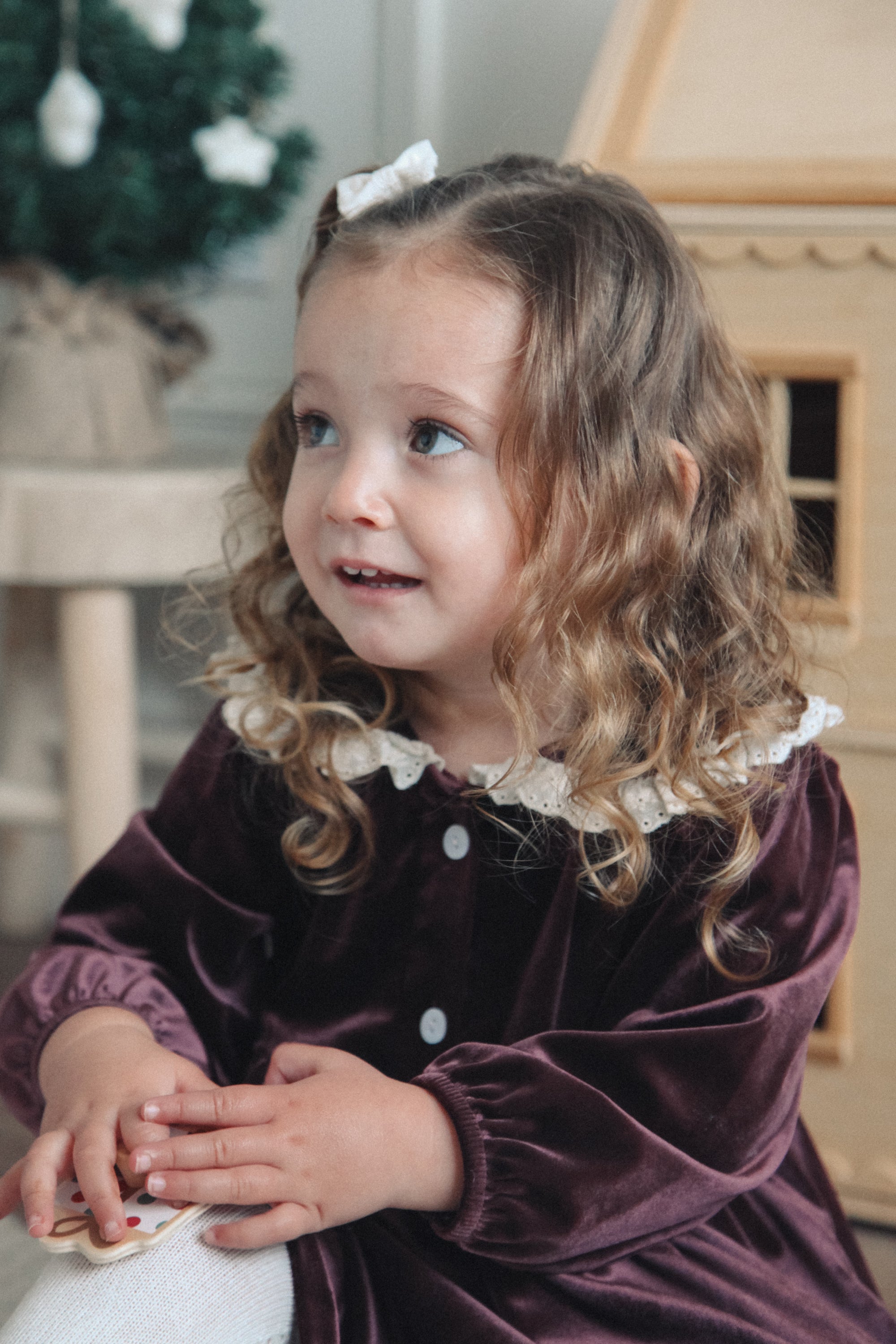 Dark Plum/Velvet Embroidered Frill Collar Dress